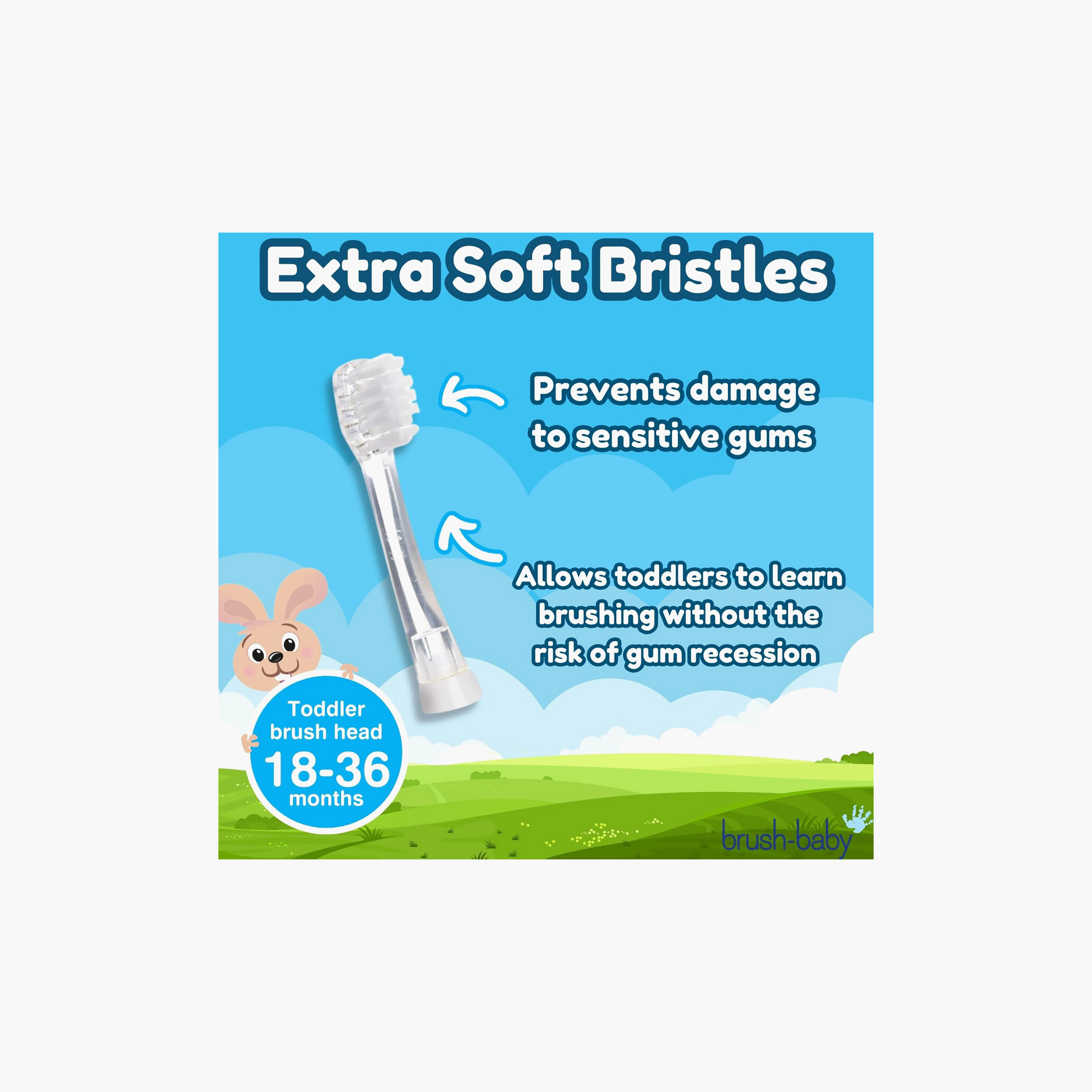 رؤوس فرشاة أسنان بديلة للعناية بأسنان الأطفال من برش بيبي - 4 قطع-baby-bathandcare-oralcare-teethanddentalcare-image-3