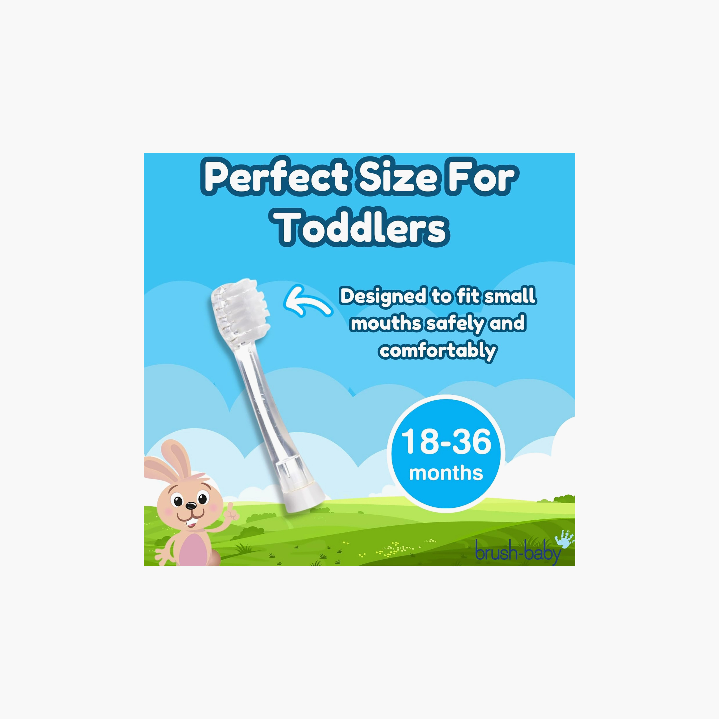 رؤوس فرشاة أسنان بديلة للعناية بأسنان الأطفال من برش بيبي - 4 قطع-baby-bathandcare-oralcare-teethanddentalcare-image-4