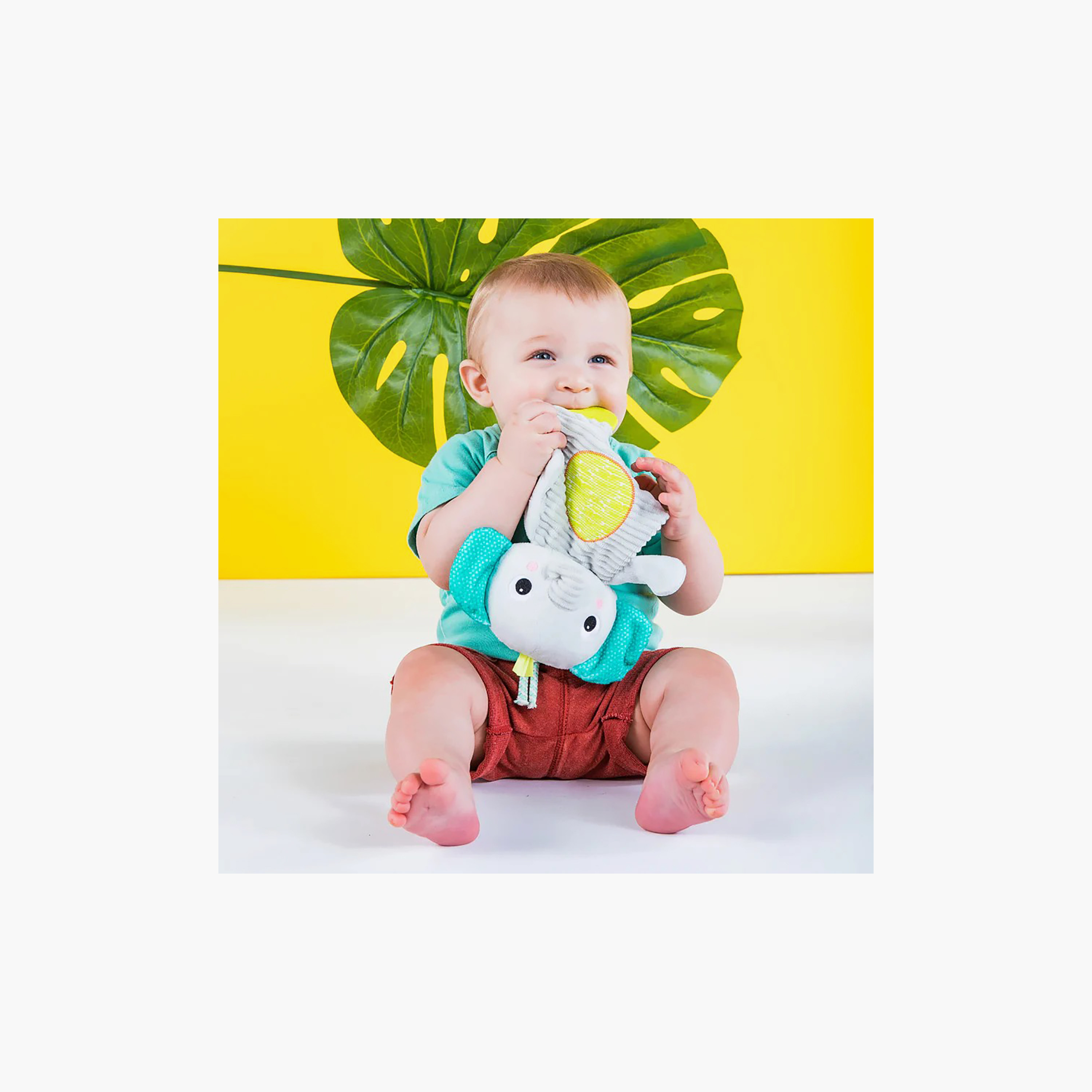 Bright Starts Snuggle & Teethe Safari Soft Plush Teether Toy - Assorted-toys-plushsofttoys-image-6