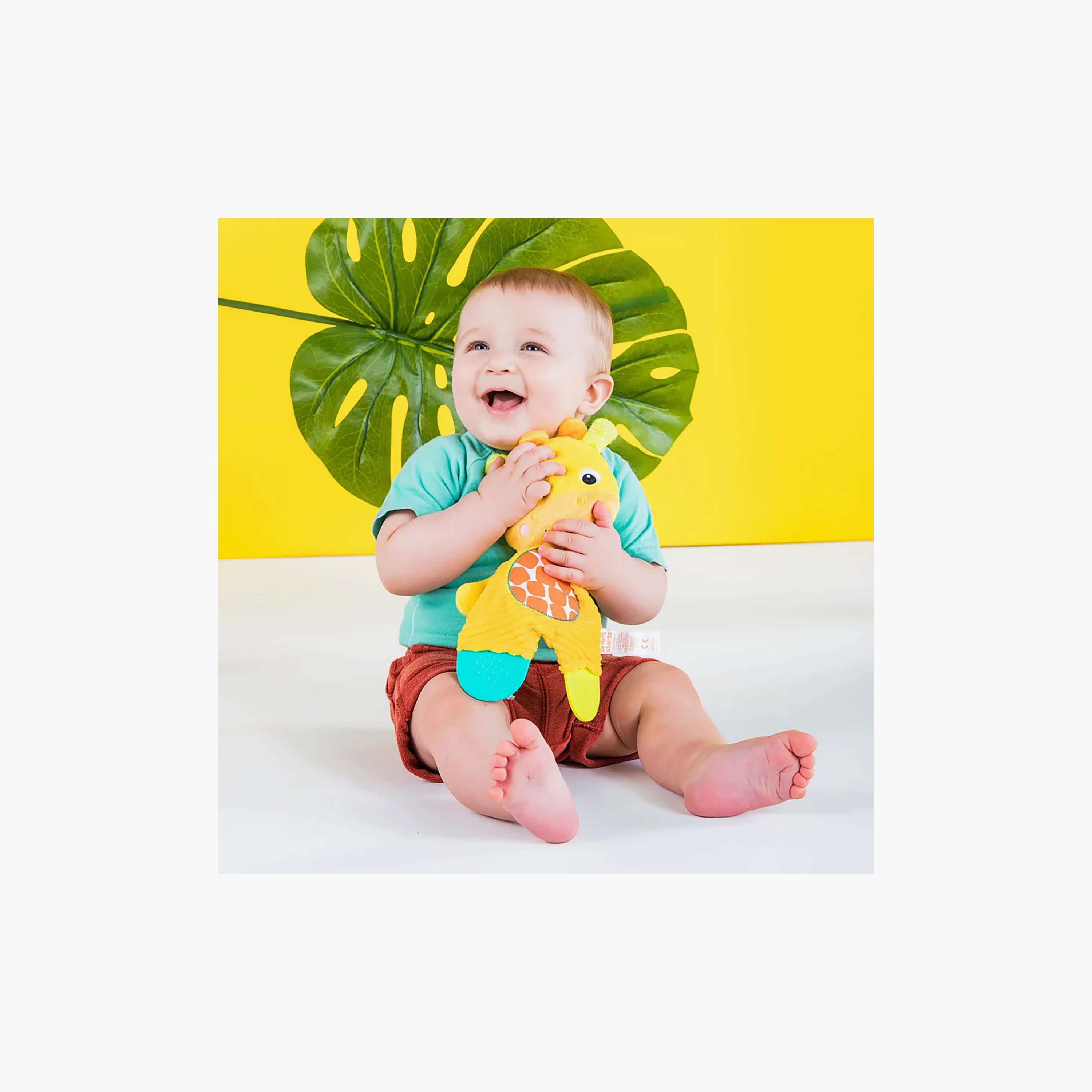 Bright Starts Snuggle & Teethe Safari Soft Plush Teether Toy - Assorted-toys-plushsofttoys-image-7