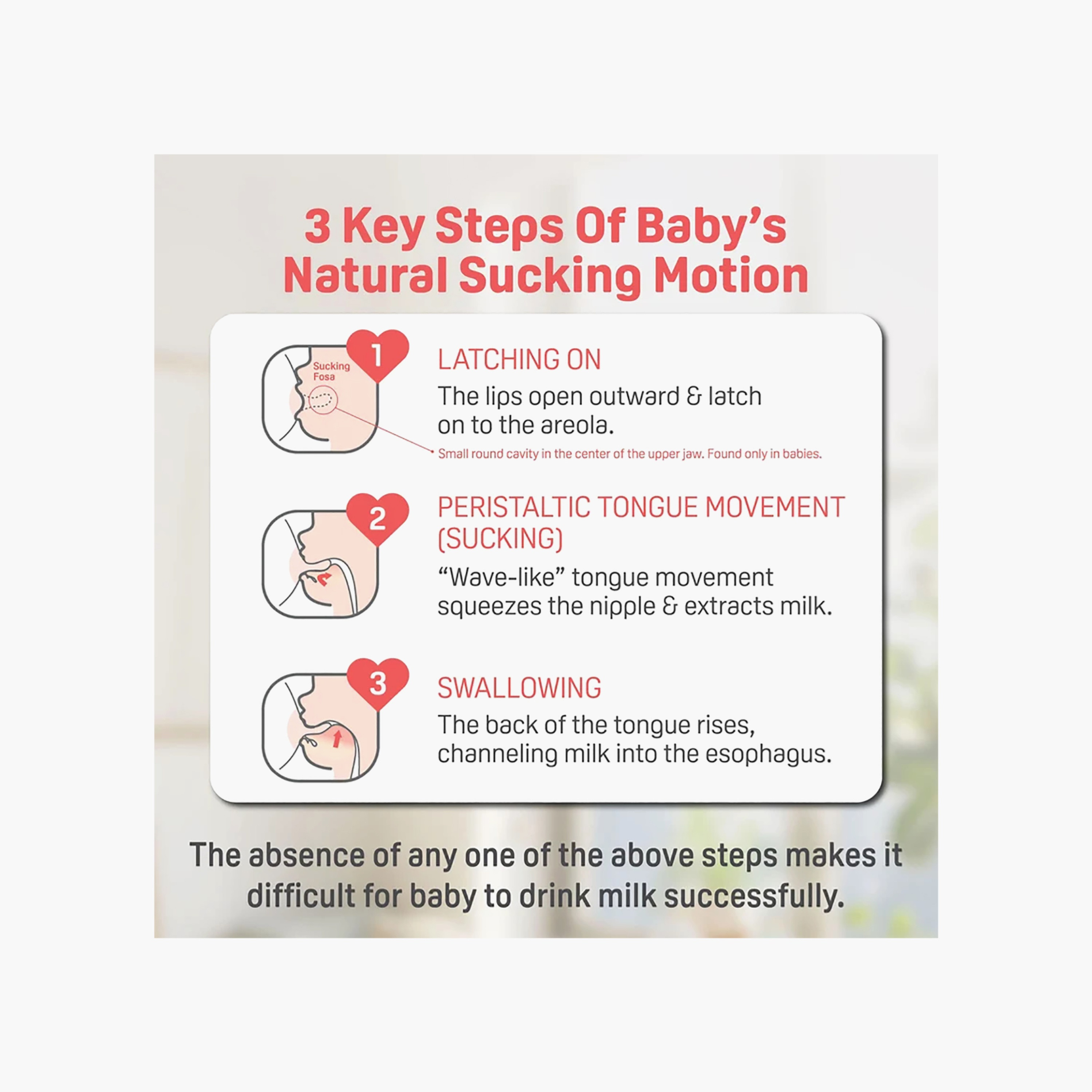Pigeon Soft Latch Feeding Bottle - 330 ml, 6+ months-baby-feeding-feedingbottles-bottlesandteats-image-16