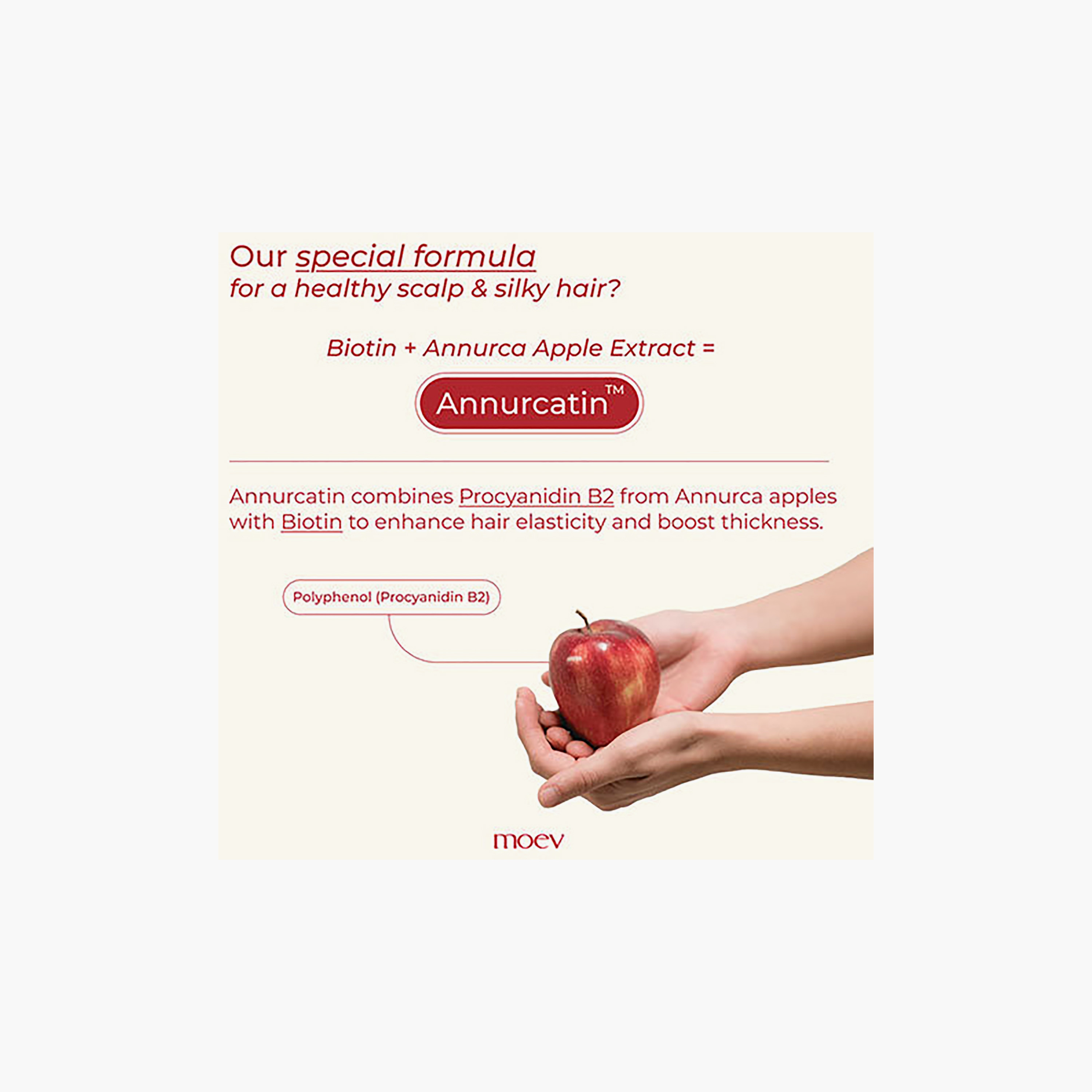 Moev Annurcatin™ Shampoo 300Ml-beautyandpersonalcare-hair-haircare-shampoos-image-11