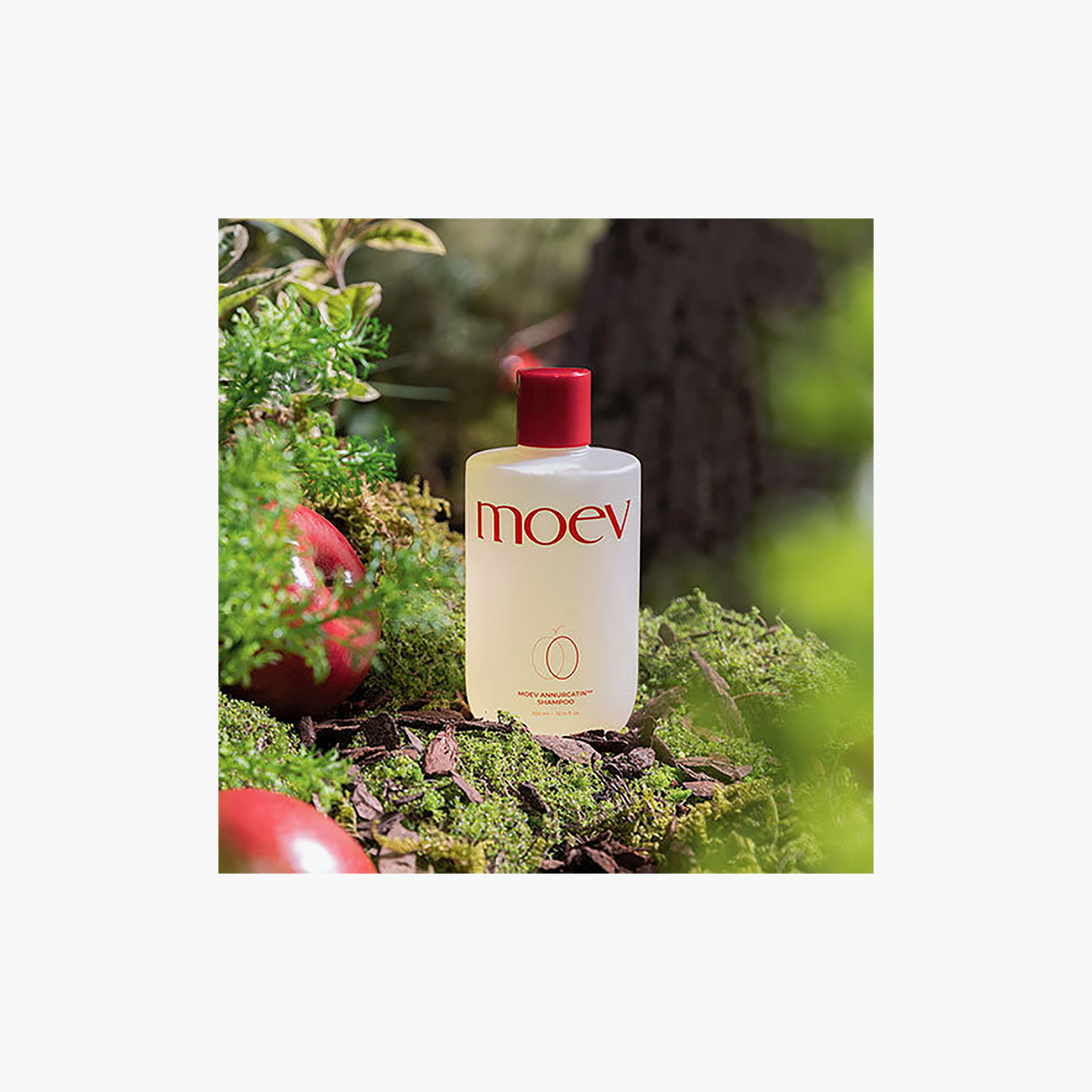 Moev Annurcatin™ Shampoo 300Ml-beautyandpersonalcare-hair-haircare-shampoos-image-3