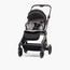 Giggles Dallas Printed Reversible Stroller-baby-gear-strollersandprams-strollers-image-1