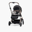 Giggles Dallas Printed Reversible Stroller-baby-gear-strollersandprams-strollers-image-2