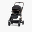 Giggles Dallas Printed Reversible Stroller-baby-gear-strollersandprams-strollers-image-4