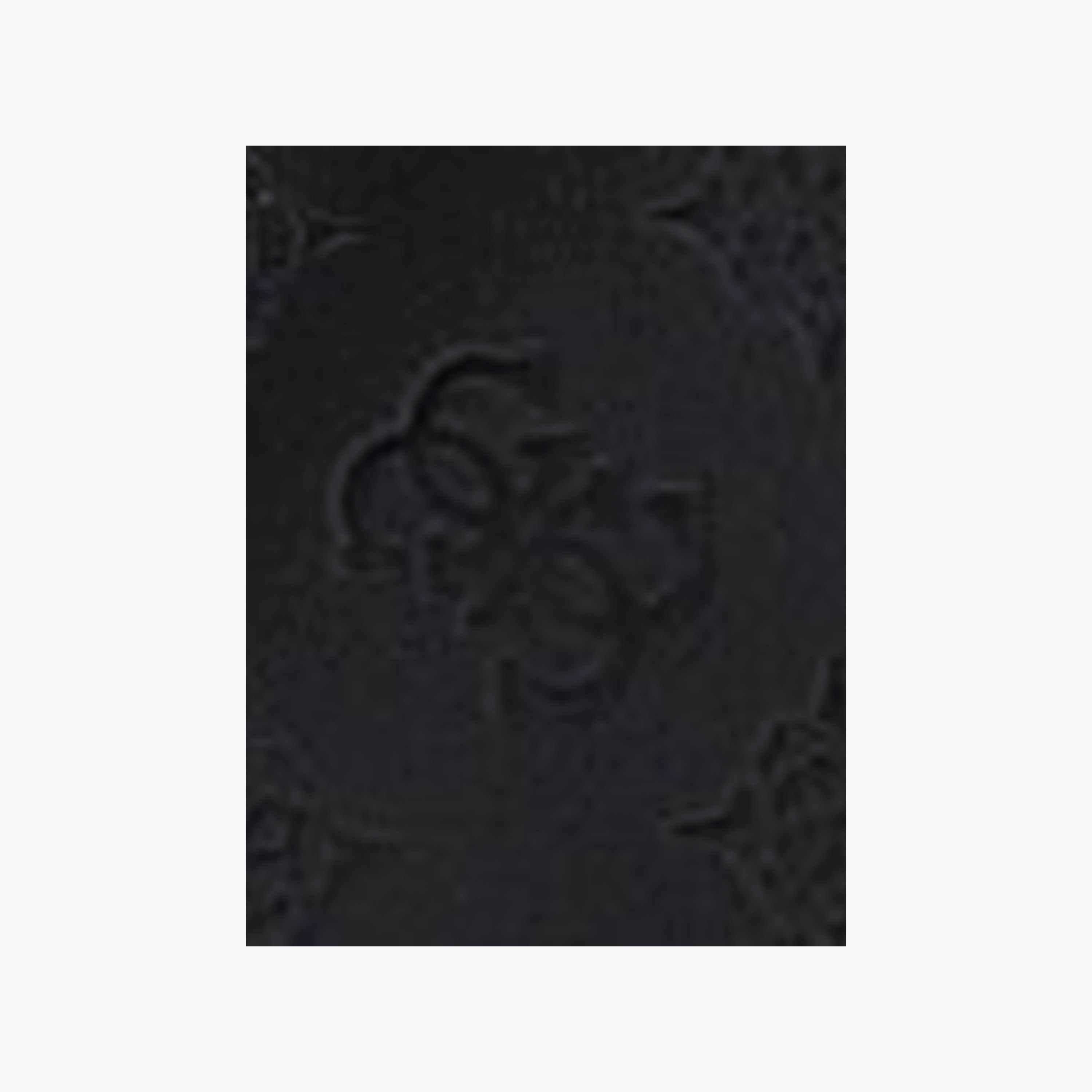 Guess Dita Monogram Single Handle Shoulder Bag with Zipper Closure-women-bagsandwallets-handbags-image-5