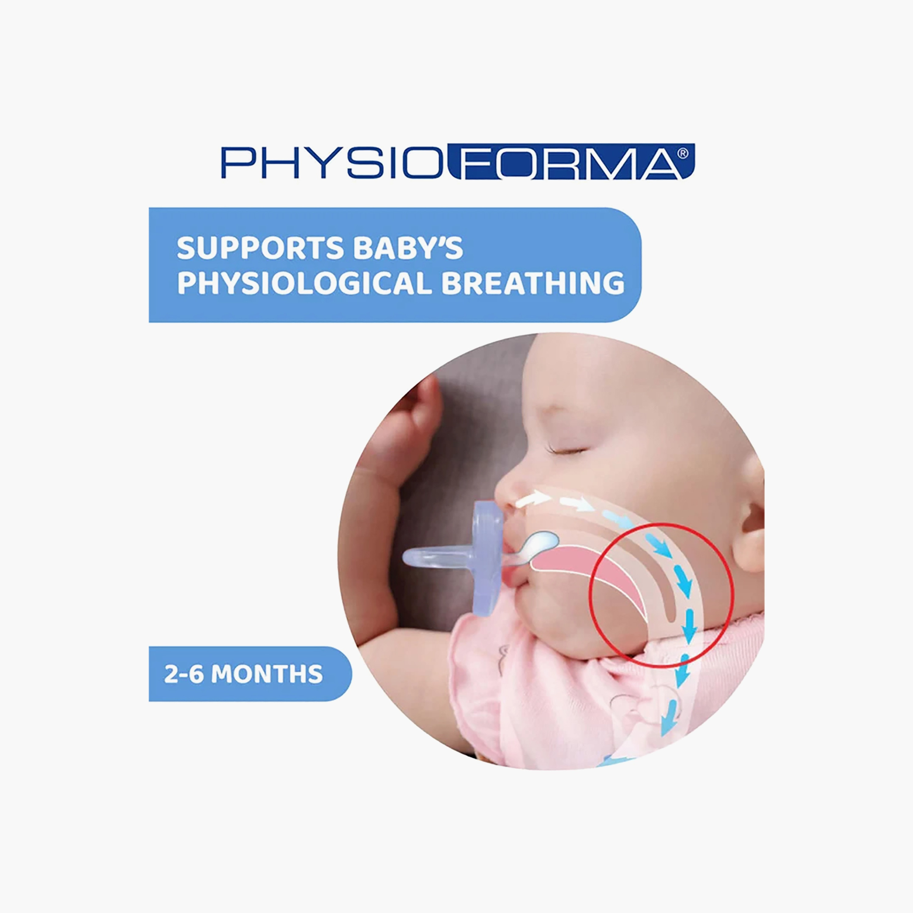 لهاية أطفال ناعمة فيزيوفورما مع حافظة من شيكو - 2-6 أشهر-baby-feeding-pacifiers-image-7