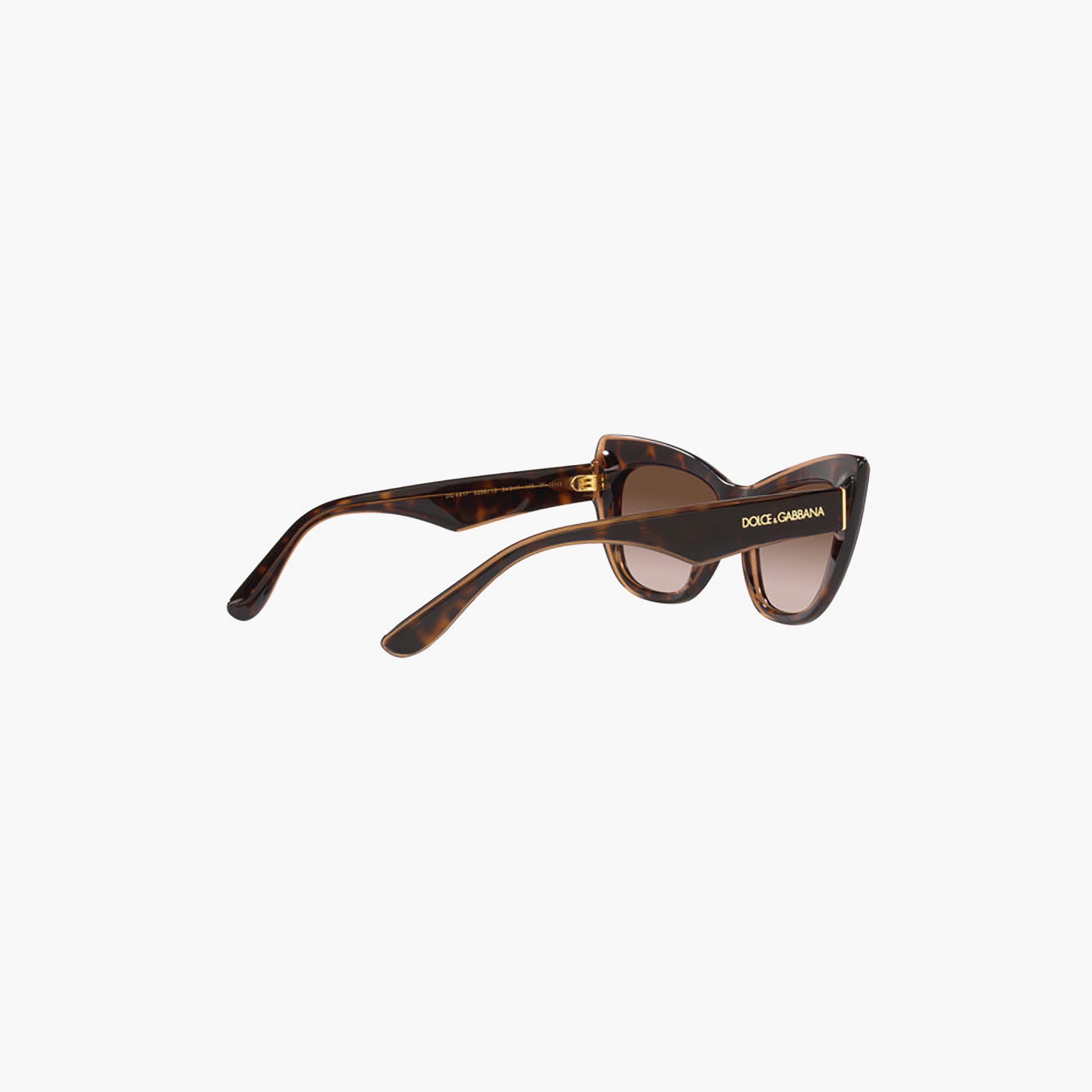 Dolce & Gabbana Women Cat Eye Brown Sunglasses | 4417-women-sunglasses-image-5