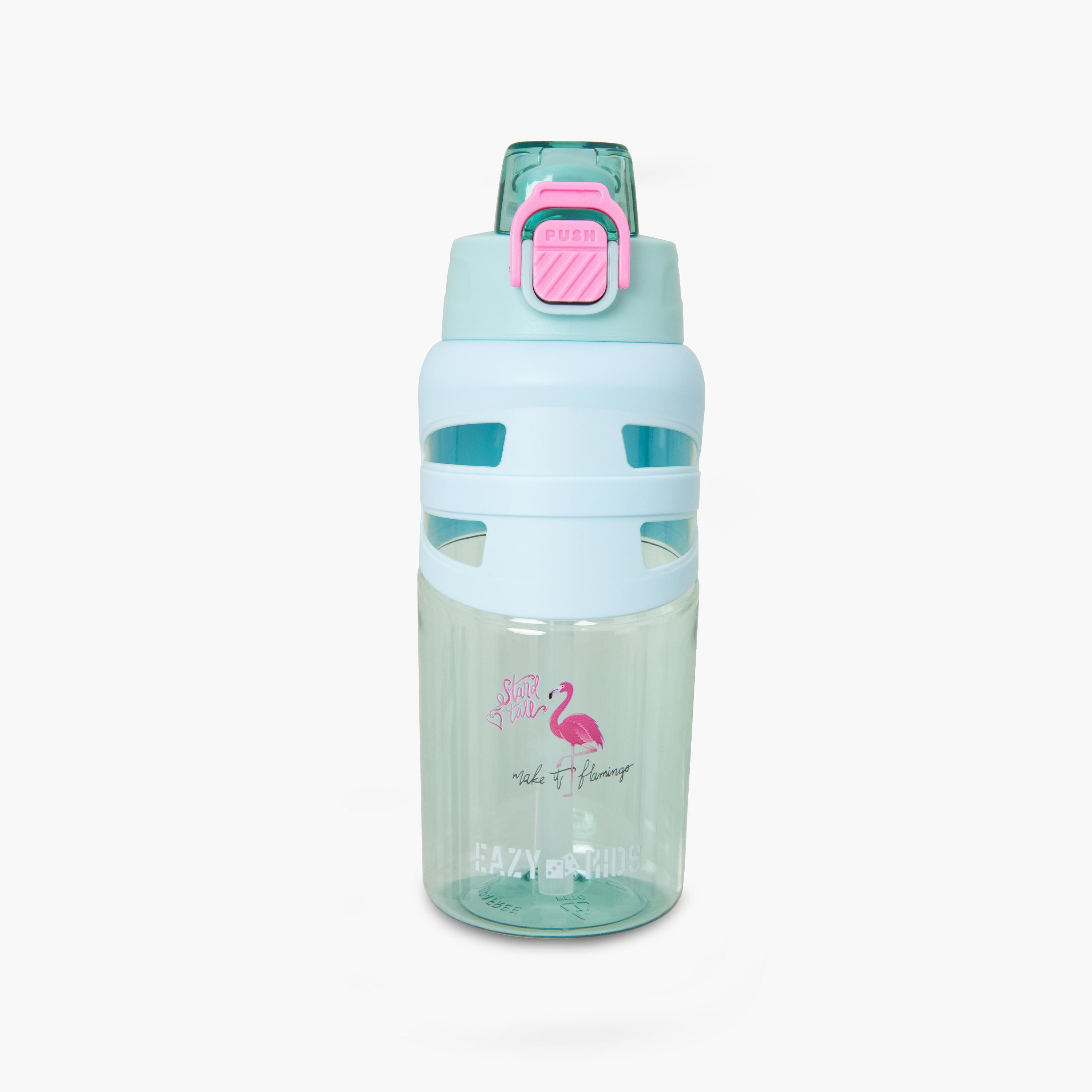 زجاجة مياه بغطاء قلاب وفوهة ومصاصة خالية من مادة BPA من إيزي كيدز - 750 مل-school-waterbottles-image-1