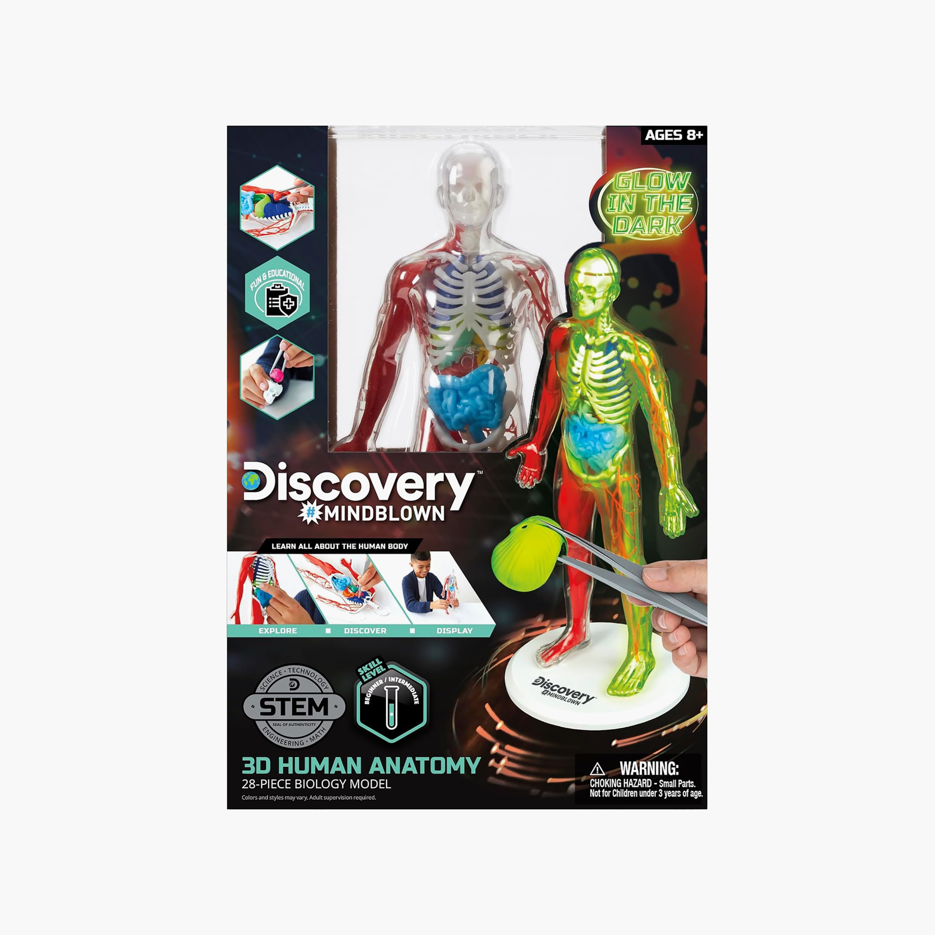 طقم مجسم تشريح جسم الإنسان ثلاثي الأبعاد من ديسكفري-toys-educational-stemtoys-image-6