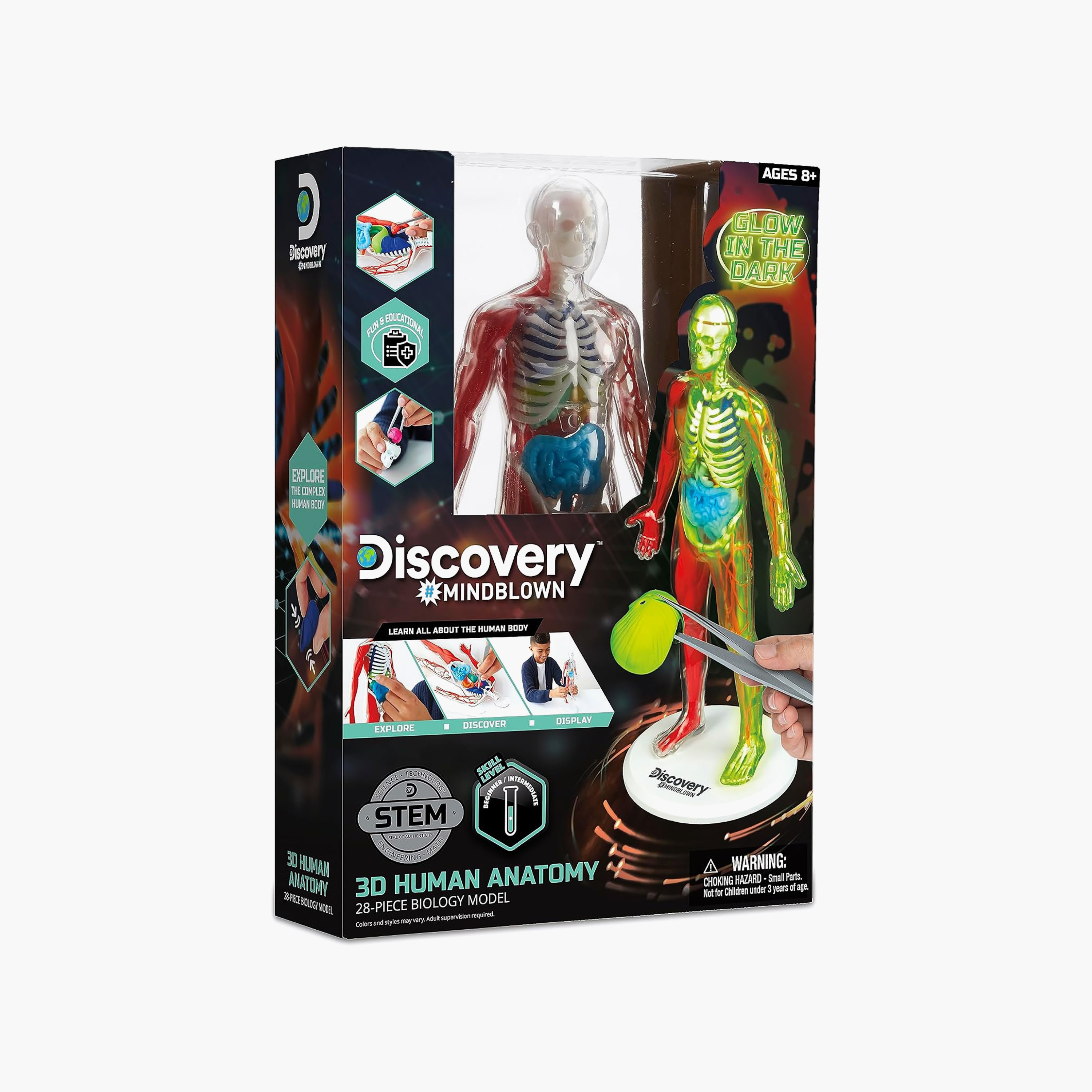 طقم مجسم تشريح جسم الإنسان ثلاثي الأبعاد من ديسكفري-toys-educational-stemtoys-image-7