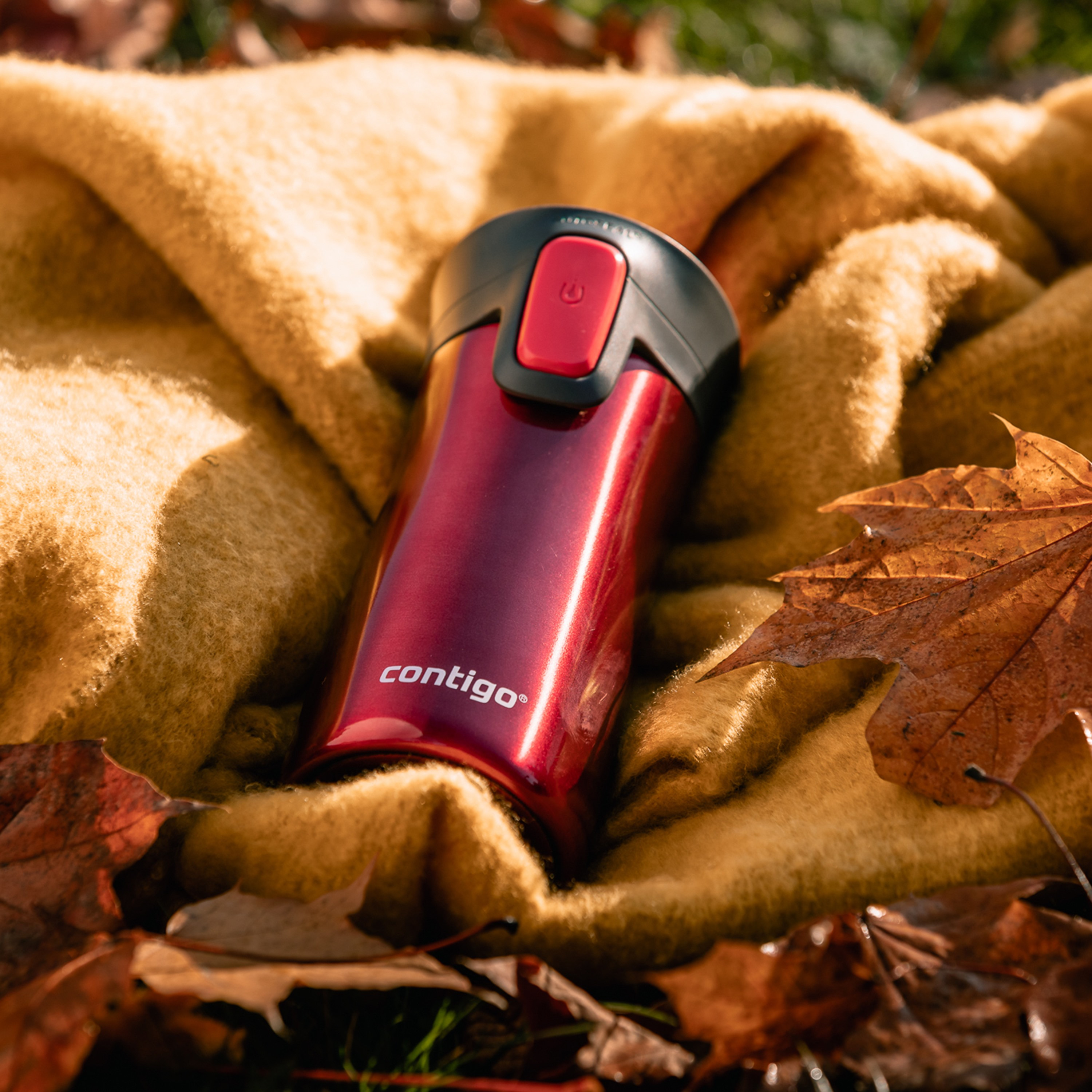 Contigo Plain Stainless Steel Travel Mug with Autoseal Spout and Leak Resistant Design - 300 ml-school-waterbottles-image-2