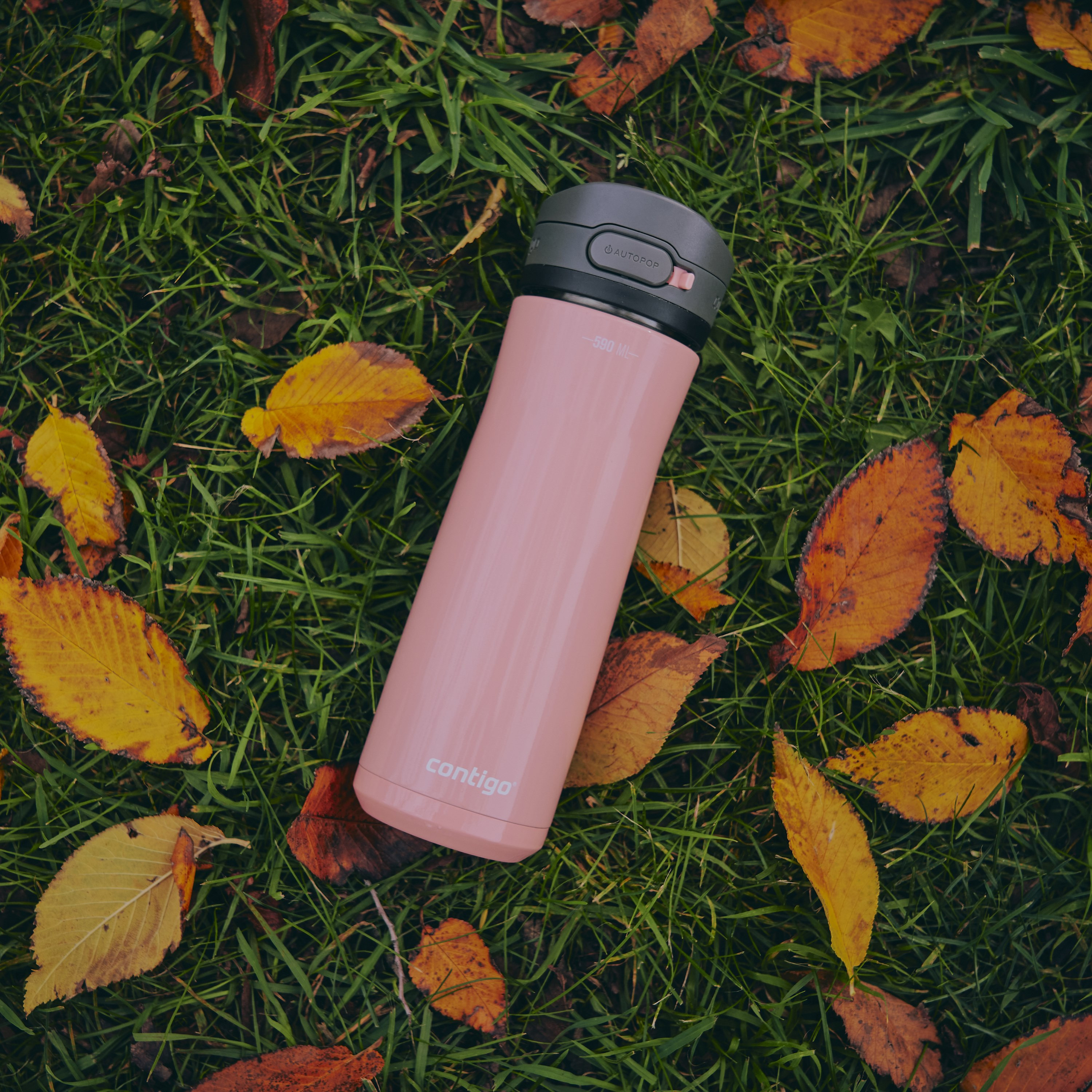 Contigo Plain Stainless Steel Water Bottle with Autoseal Spout and Leak Resistant Design - 590 ml-school-waterbottles-image-10