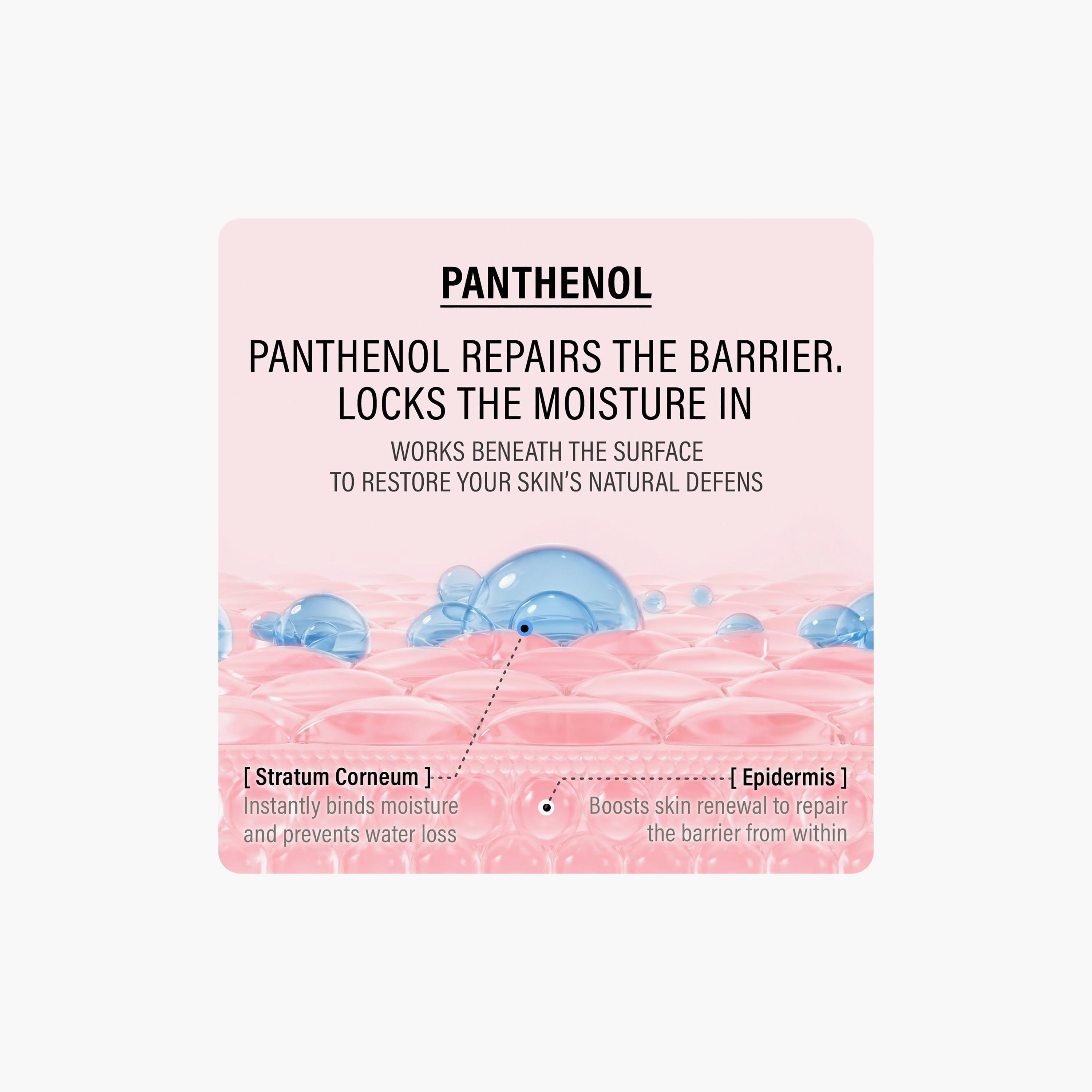 Epii Ectoin & Panthenol Soothing Barrier Cream 50Ml-beautyandpersonalcare-kbeauty-skin-moisturisers-facemoisturisers-image-8