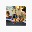Lego Bluey School with Rusty and Bluey Block Playset-toys-buildingblocks-blocks-image-5