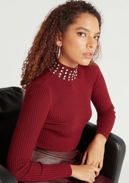 Iconic Embellished Sweater with Long Sleeves and High Neck
