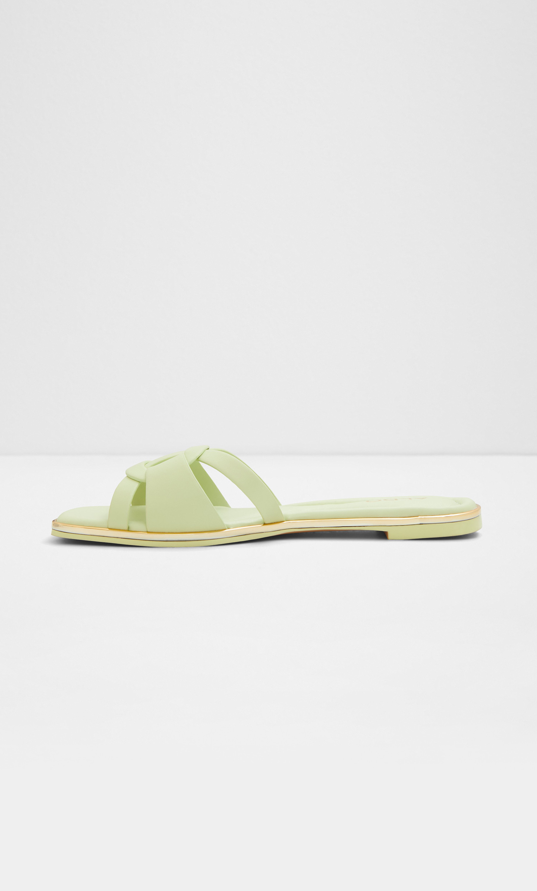 Aldo Women Cadialdan Flat Sandals-women-shoes-sandals-flats-image-3