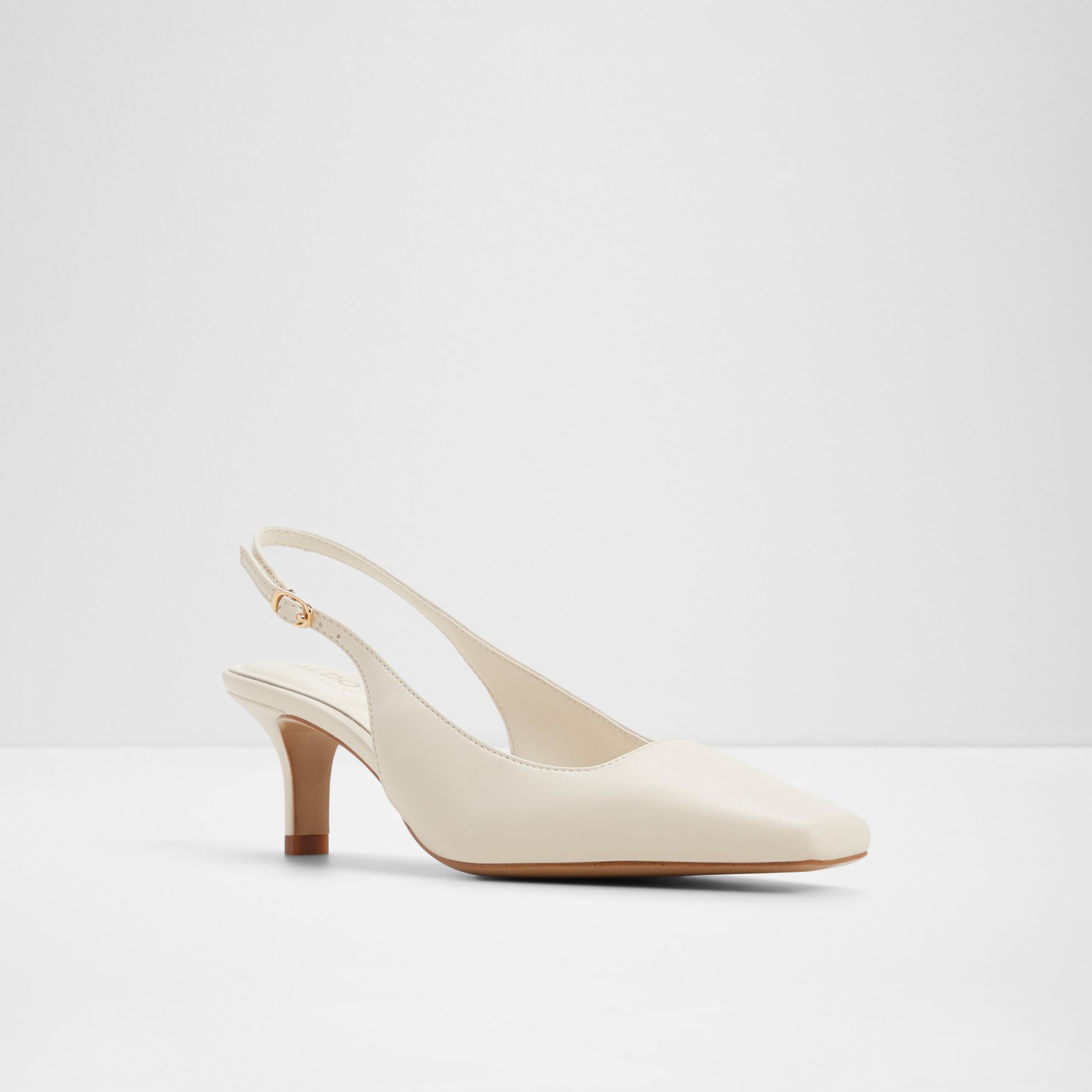 Aldo Women's Buckle Strap GABRIELLIE Stiletto Pumps | 20GABRIELLIE-women-shoes-heels-image-1