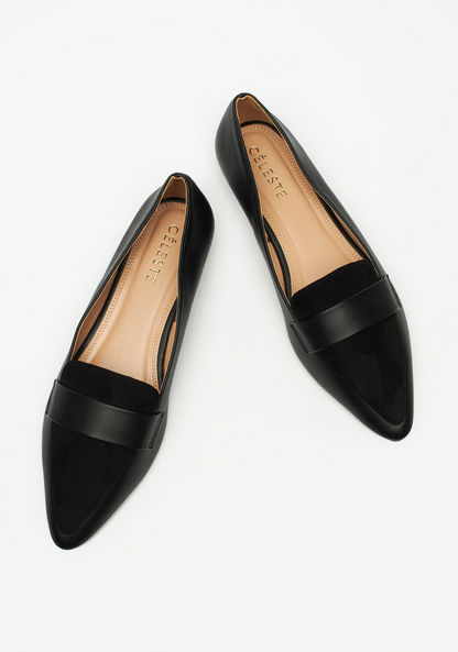 Celeste Women's Pointed Toe Ballerina Shoes-Women%27s Ballerinas-image-1