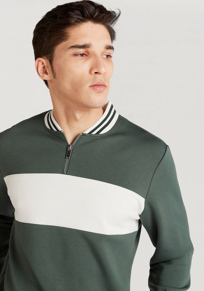 Iconic Panelled Sweatshirt with Mandarin Neck and Zip Closure-Sweatshirts-image-4