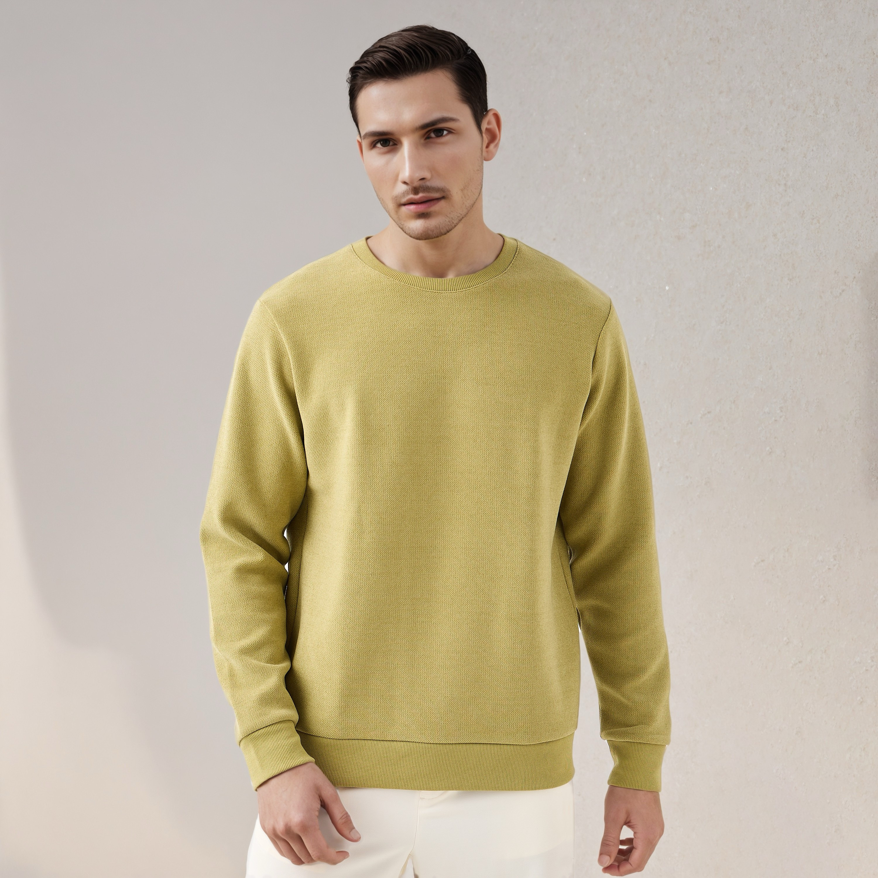 Iconic Heavy Jersey Sweatshirt-men-winterwear-hoodiesandsweatshirts-image-1