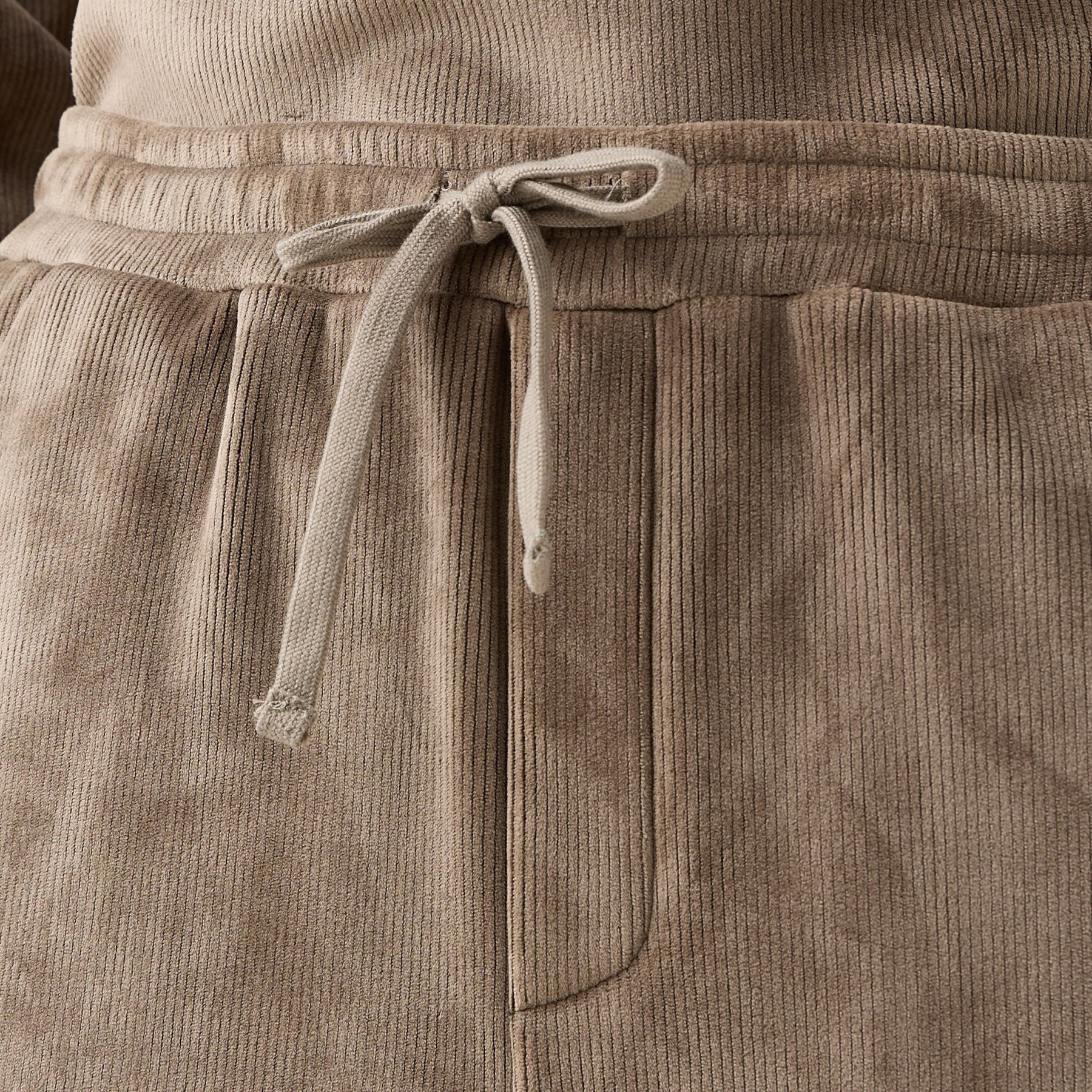 Iconic Regular Fit Corduroy Flexi Waist Pants with Pockets-men-clothing-bottoms-trousersandchinos-trousers-image-4