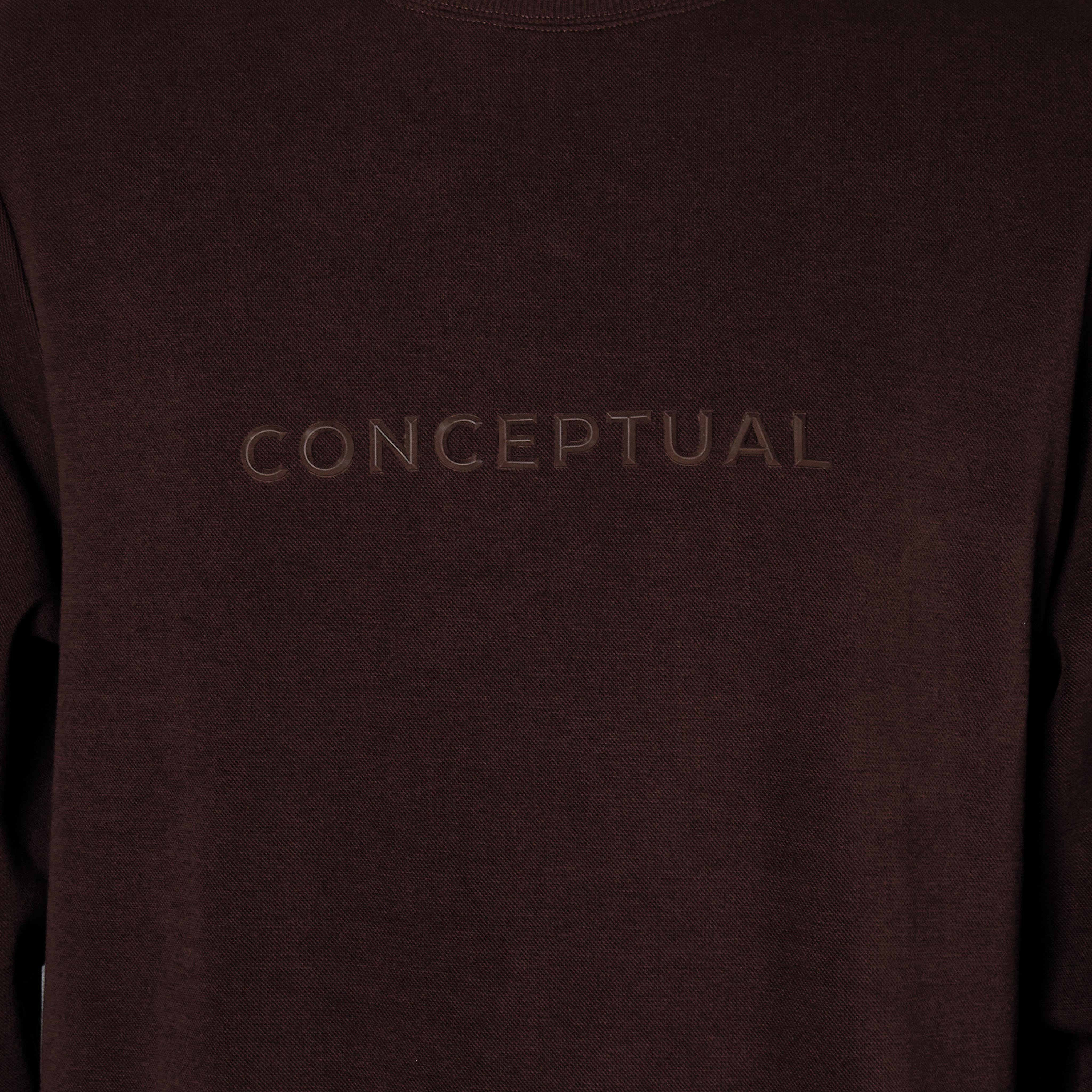 Iconic Men Regular Fit Slogan Embroidered Sweatshirt-men-winterwear-hoodiesandsweatshirts-image-4