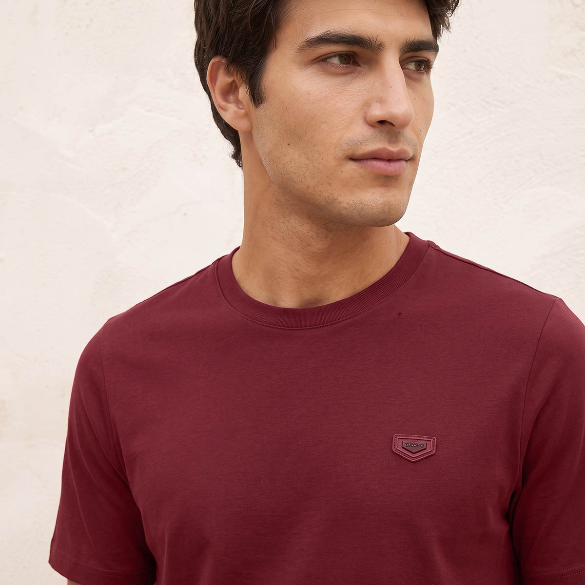 تيشيرت بياقة ضيقة وأكمام قصيرة من سبلاش آيكونيك-men-clothing-tshirtsandpolos-tshirts-image-4