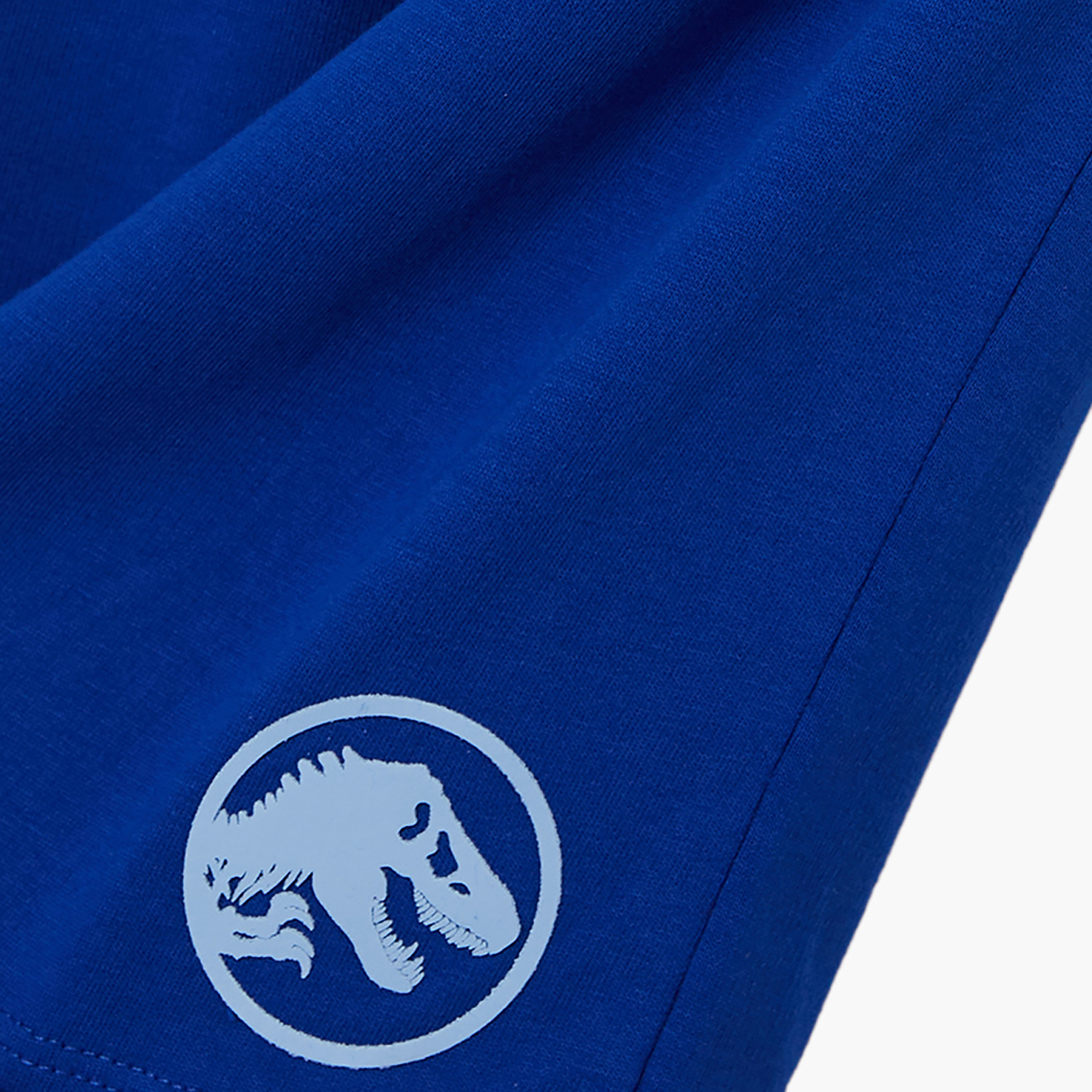 Jurassic Park Printed Cotton T-Shirt & Shorts Set-boys-clothing-setsandcoords-image-7