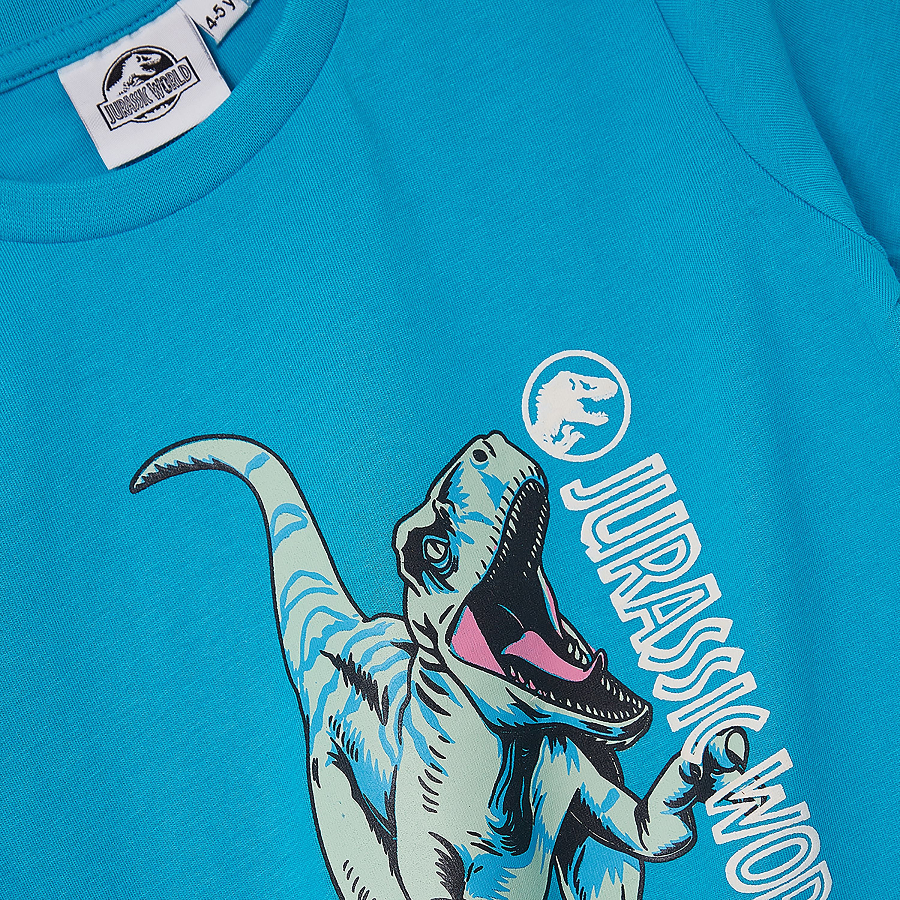 Jurassic Printed Short Sleeves Round Neck T-Shirt-boys-clothing-tshirtsandpolos-image-6