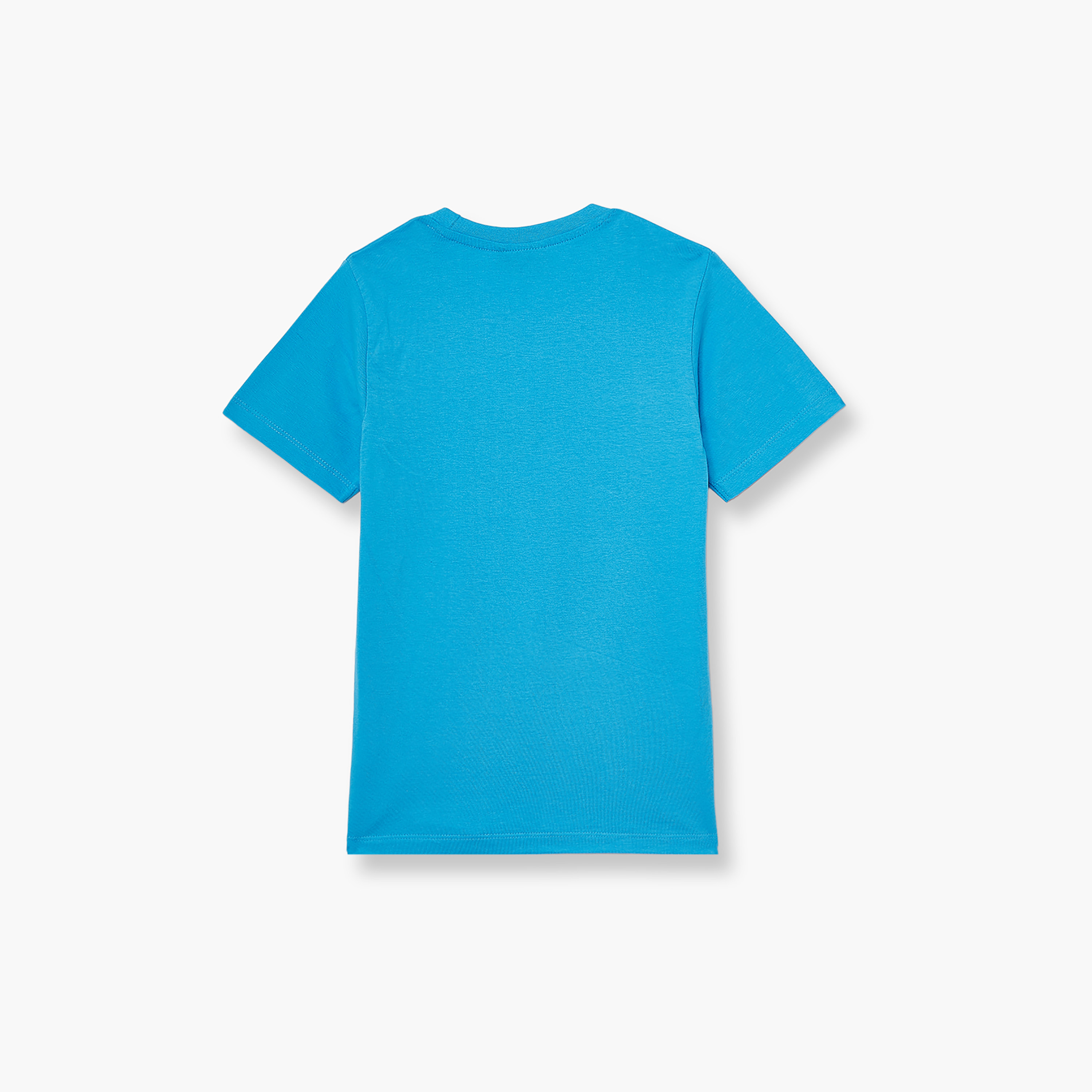 تي شيرت بأكمام قصيرة ورقبة دائرية بطبعة بيناتس-boys-clothing-tshirtsandpolos-image-4