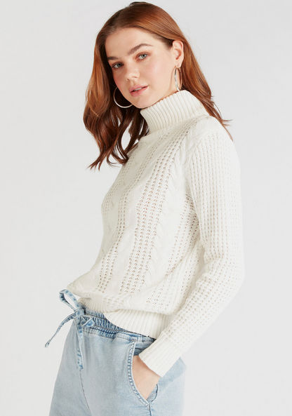 Lee Cooper Textured Turtle Neck Sweater with Long Sleeves-Sweatshirts-image-4