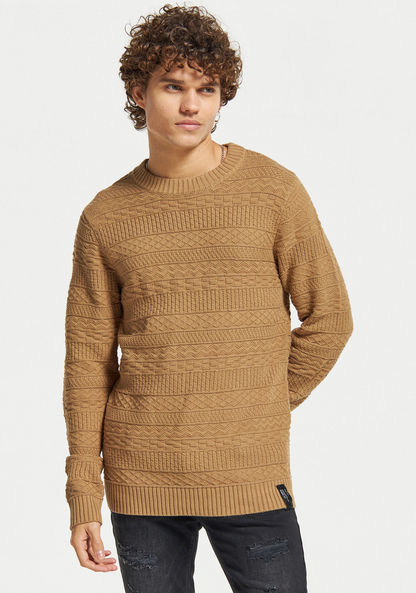 Lee Cooper Textured Sweater with Crew Neck and Long Sleeves-Sweaters-image-0