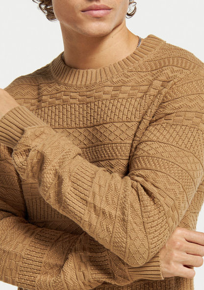 Lee Cooper Textured Sweater with Crew Neck and Long Sleeves-Sweaters-image-3