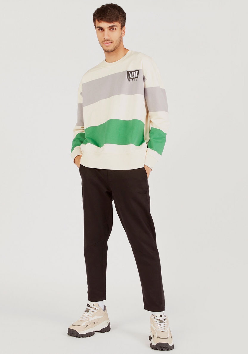 Colourblocked Printed Crew Neck Sweatshirt with Long Sleeves-Sweatshirts-image-1
