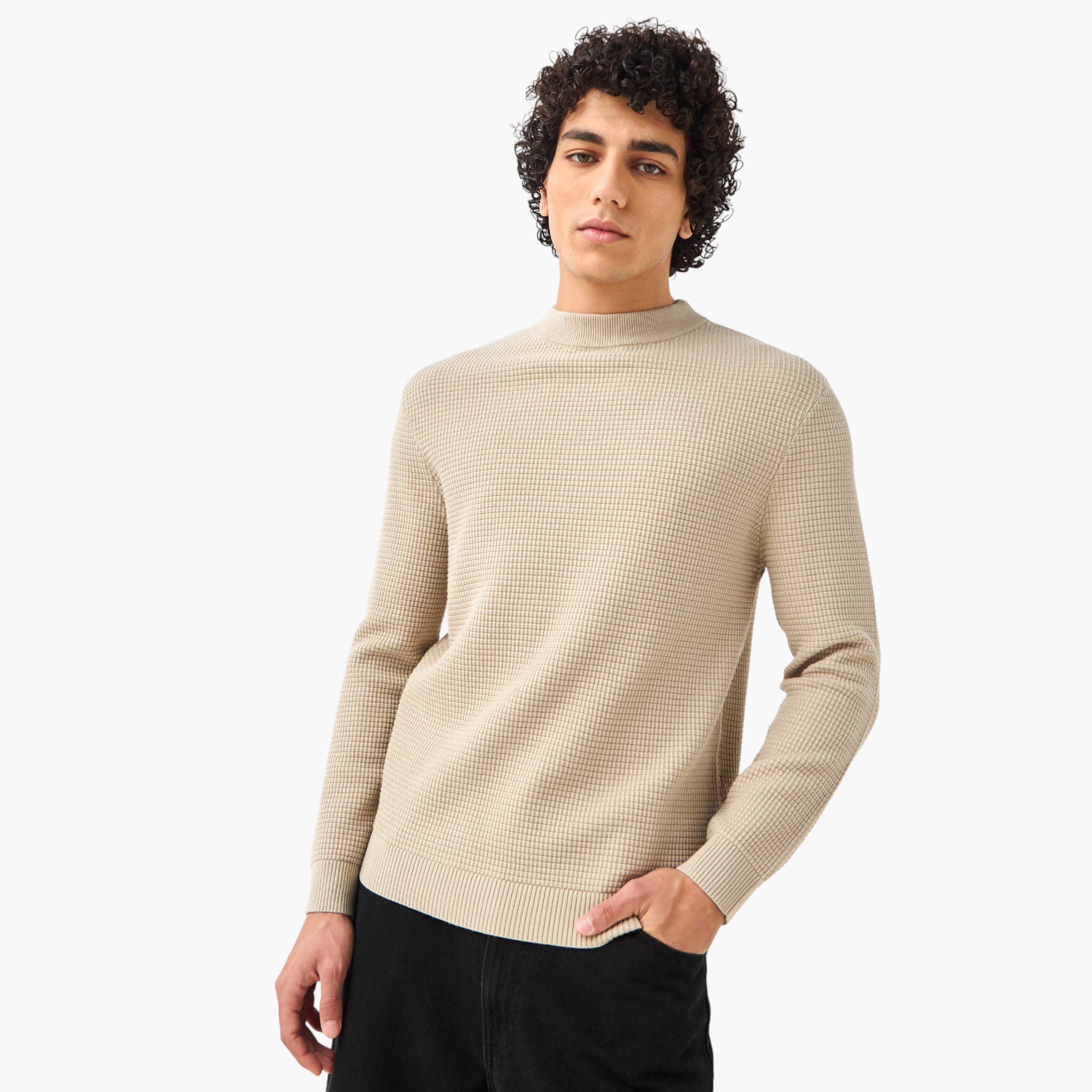 Men High Neck Textured Sweater-men-clothing-sweatersandpullovers-image-2