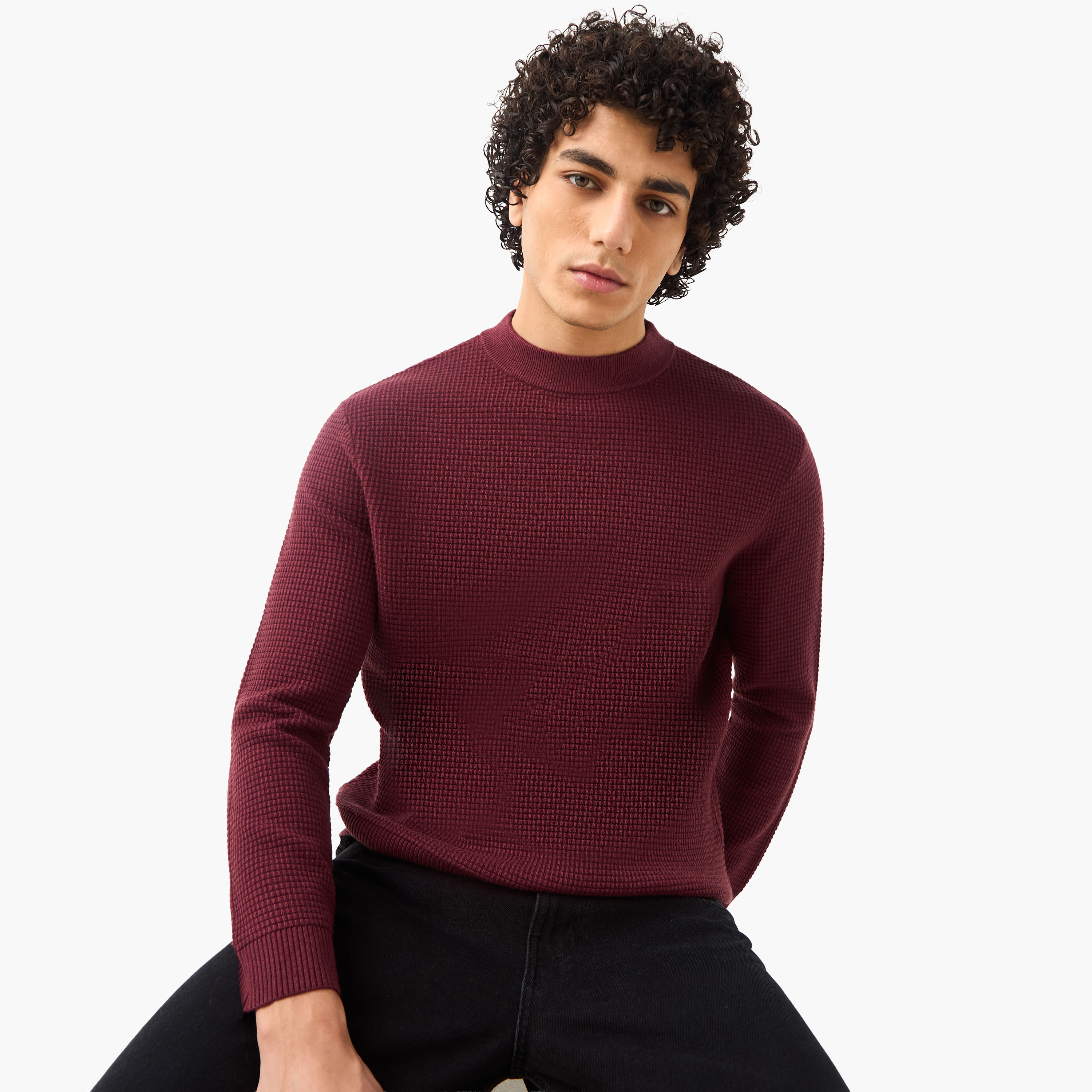 Men High Neck Textured Sweater-men-clothing-sweatersandpullovers-image-3