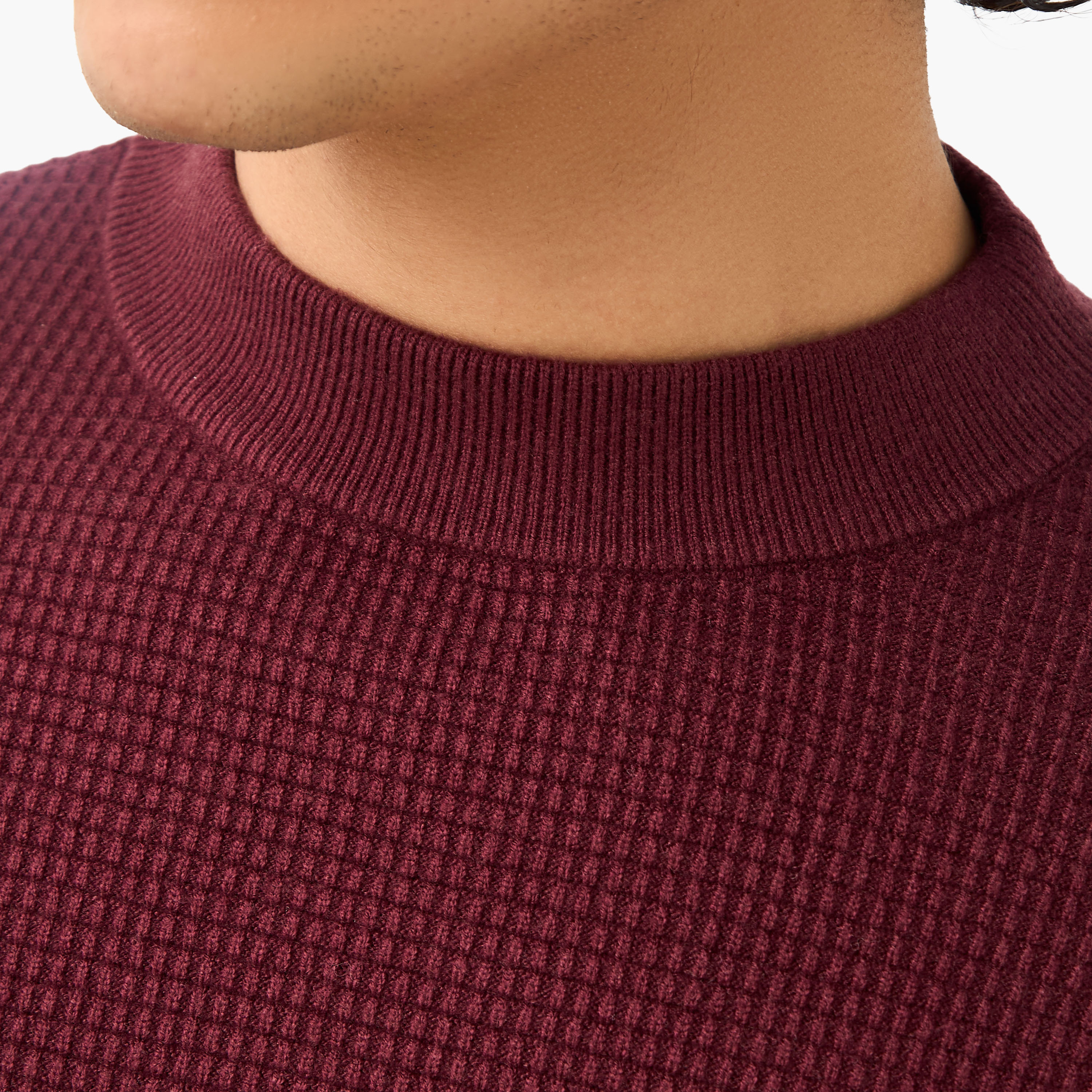 Men High Neck Textured Sweater-men-clothing-sweatersandpullovers-image-4