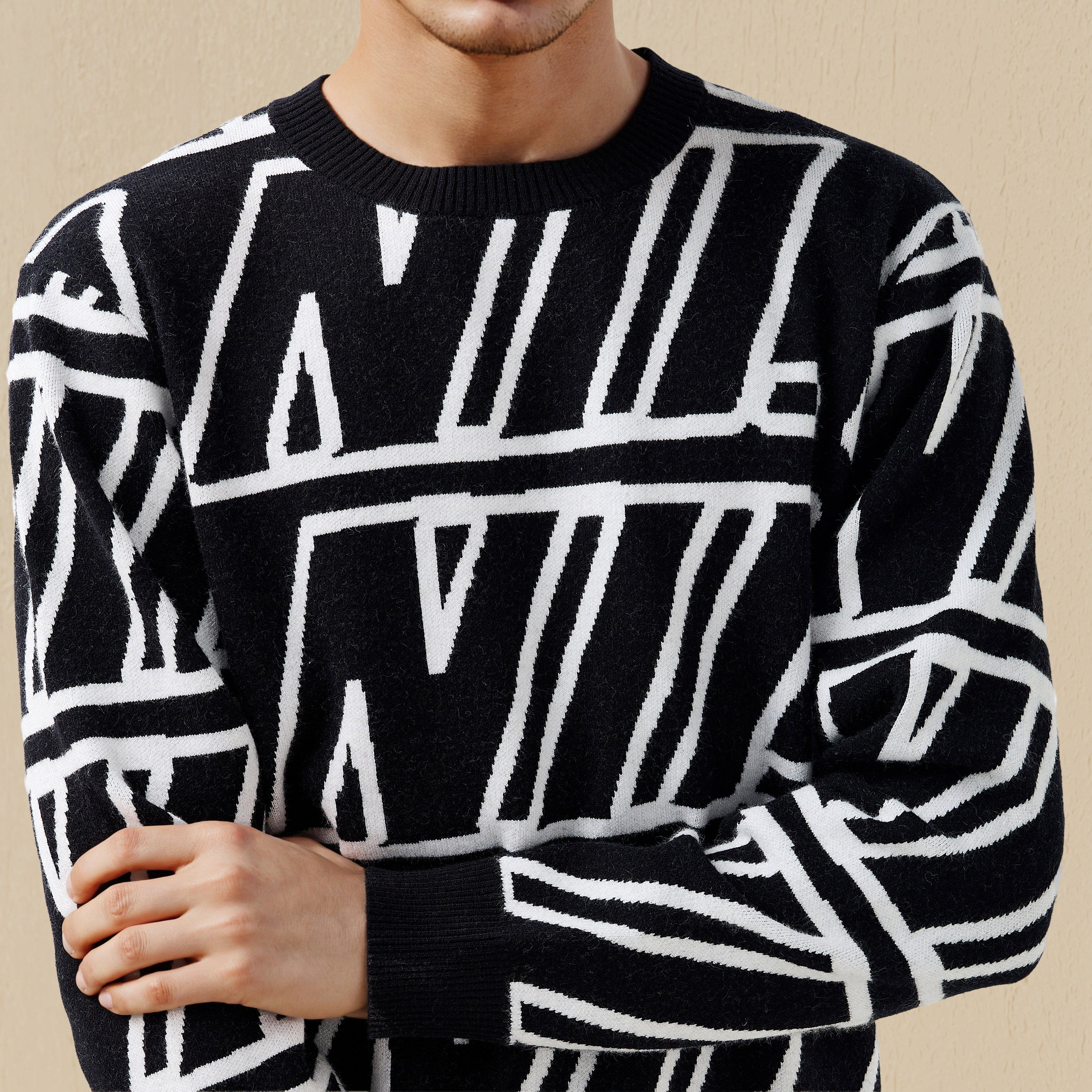 Men Crew Neck Printed Sweater-men-clothing-sweatersandpullovers-image-4