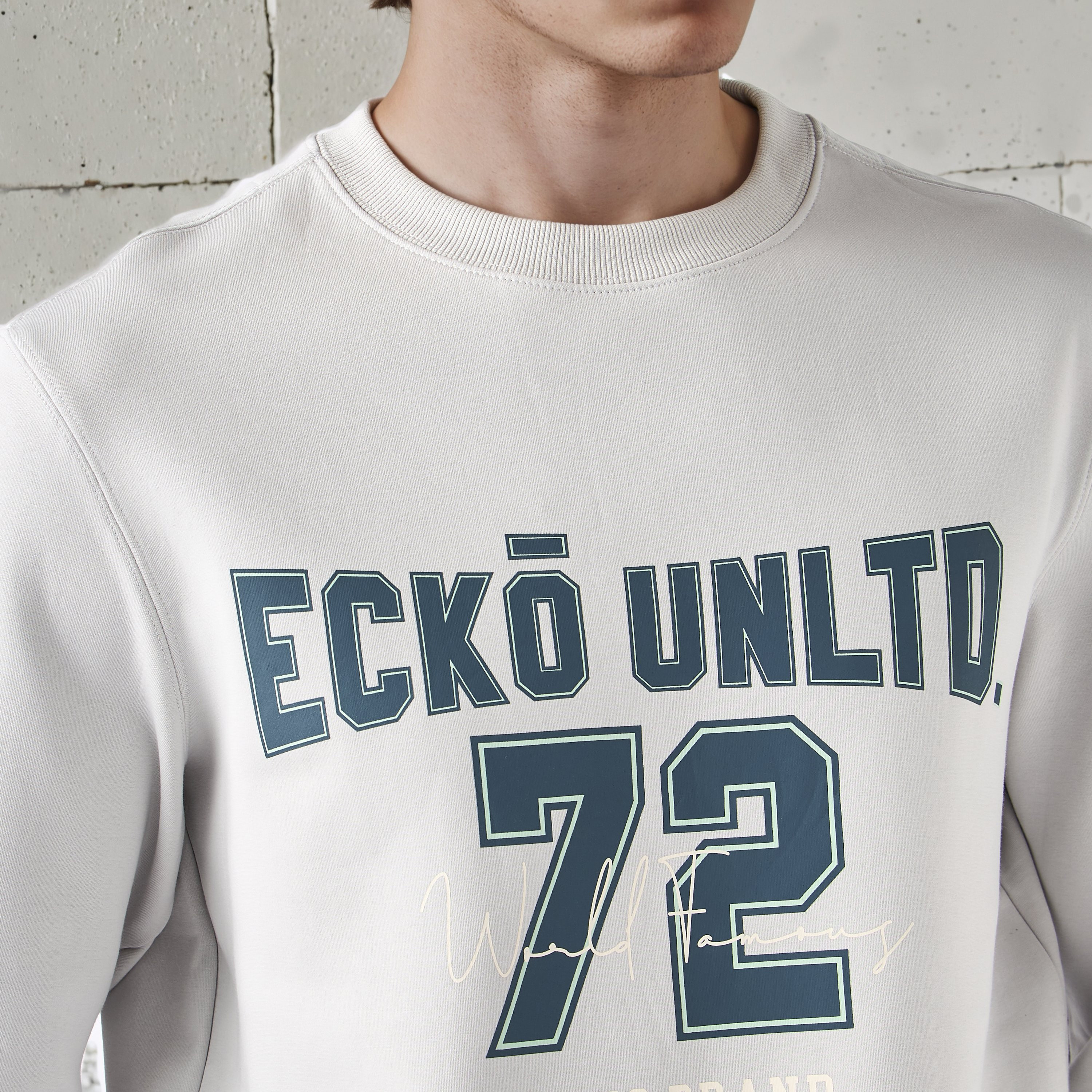 Ecko Men Printed Interlock Sweatshirt-men-winterwear-hoodiesandsweatshirts-image-3