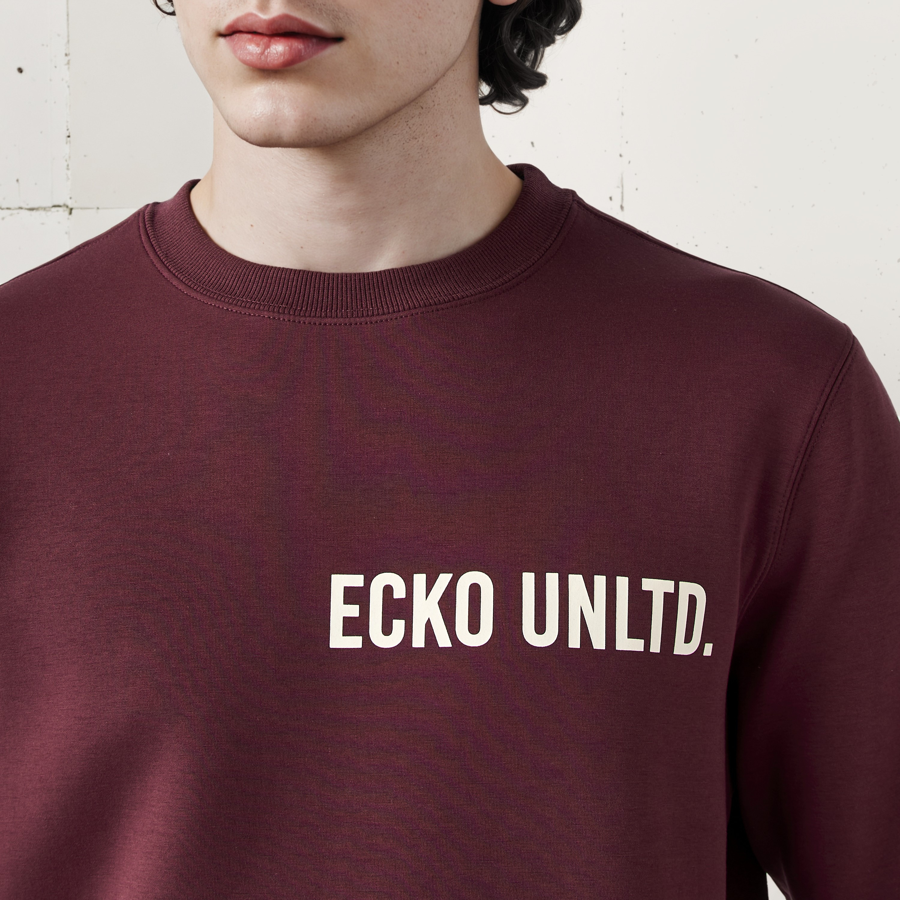 Ecko Men Printed Interlock Sweatshirt-men-winterwear-hoodiesandsweatshirts-image-3