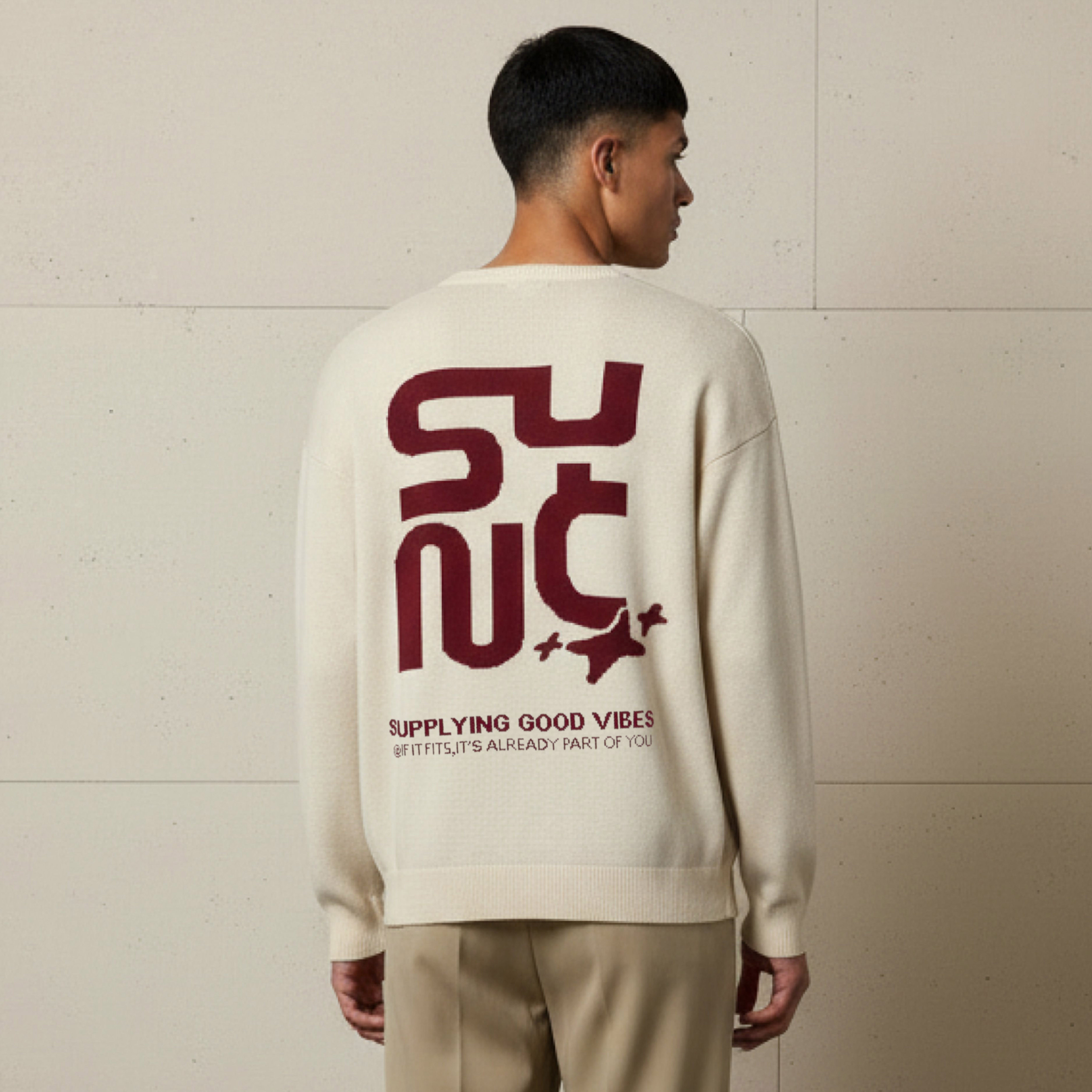 Men Crew Neck Jacquard Sweater-men-clothing-sweatersandpullovers-image-3