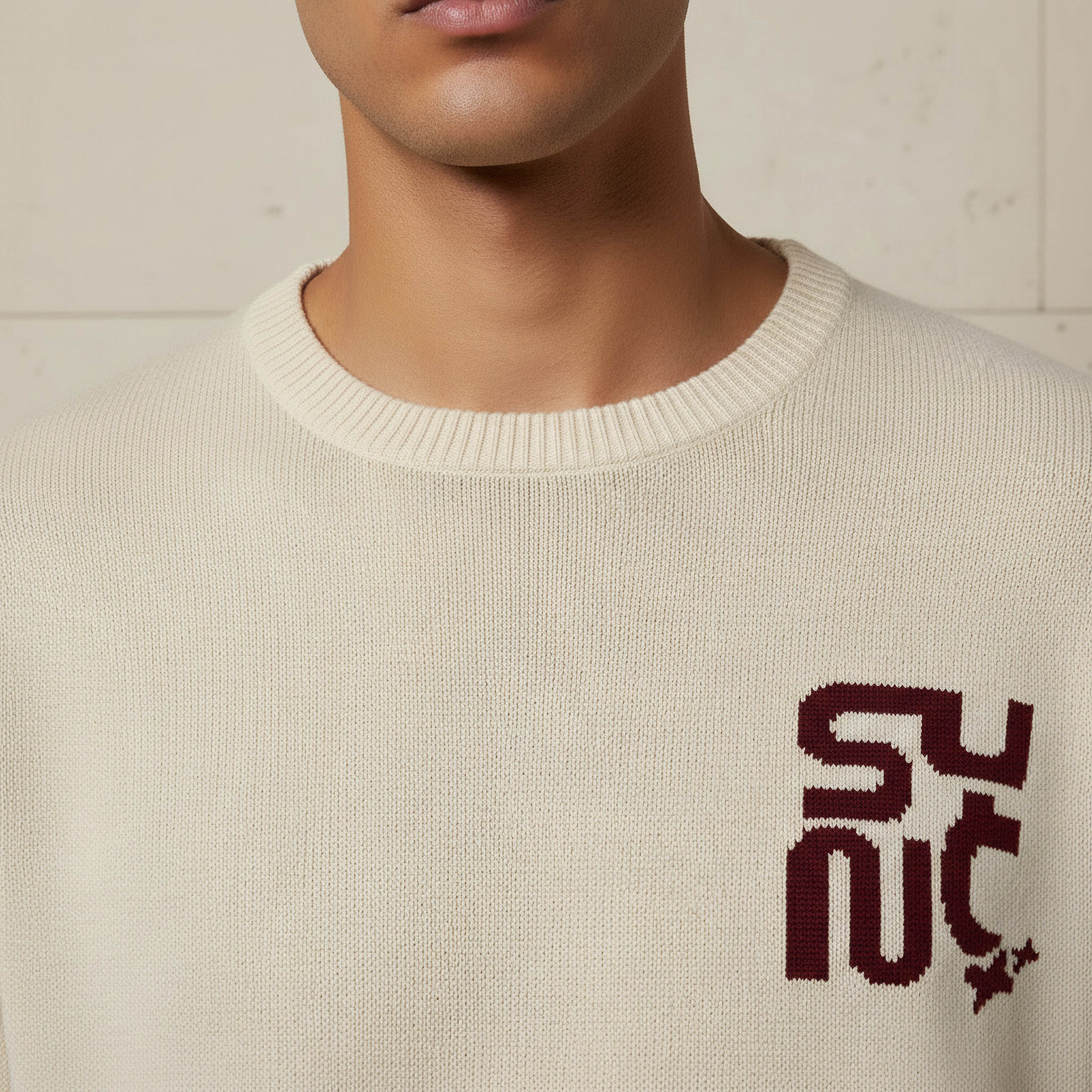 Men Crew Neck Jacquard Sweater-men-clothing-sweatersandpullovers-image-4