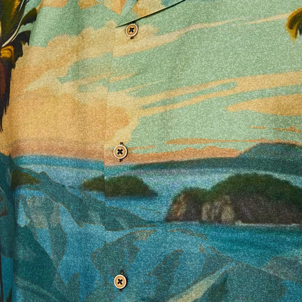 Men Camp Collar Tropical Print Short Sleeve Shirt-men-clothing-shirts-image-2
