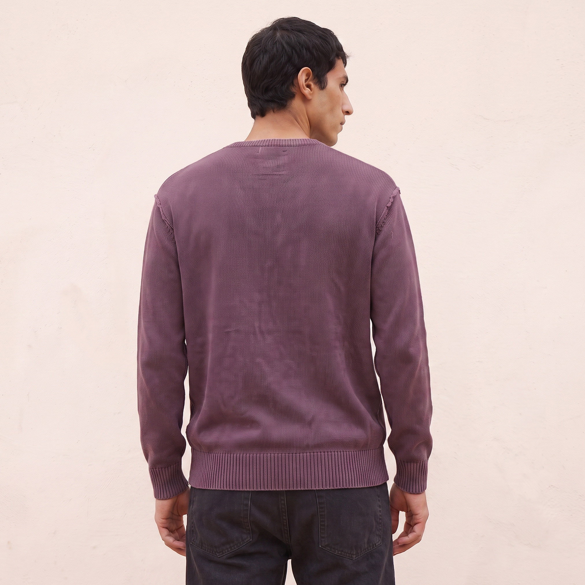 Splash Youth Crew Neck Textured Sweater-men-clothing-sweatersandpullovers-image-3