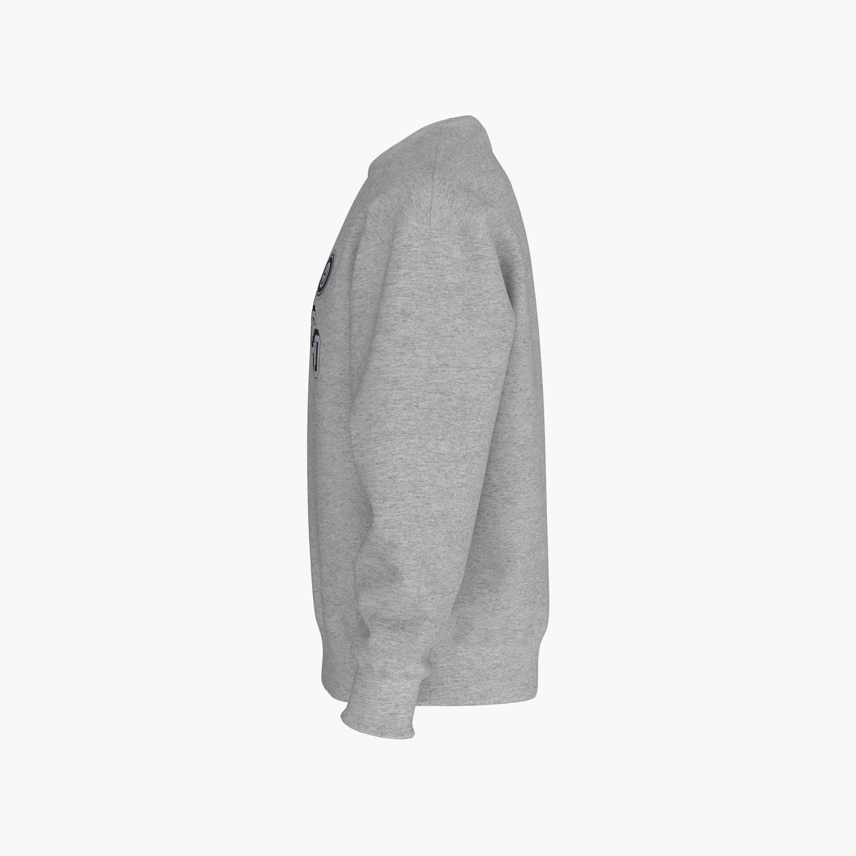Levi's Logo Crew Neck Long Sleeves Men's Sweatshirt-men-clothing-hoodiesandsweatshirts-image-6