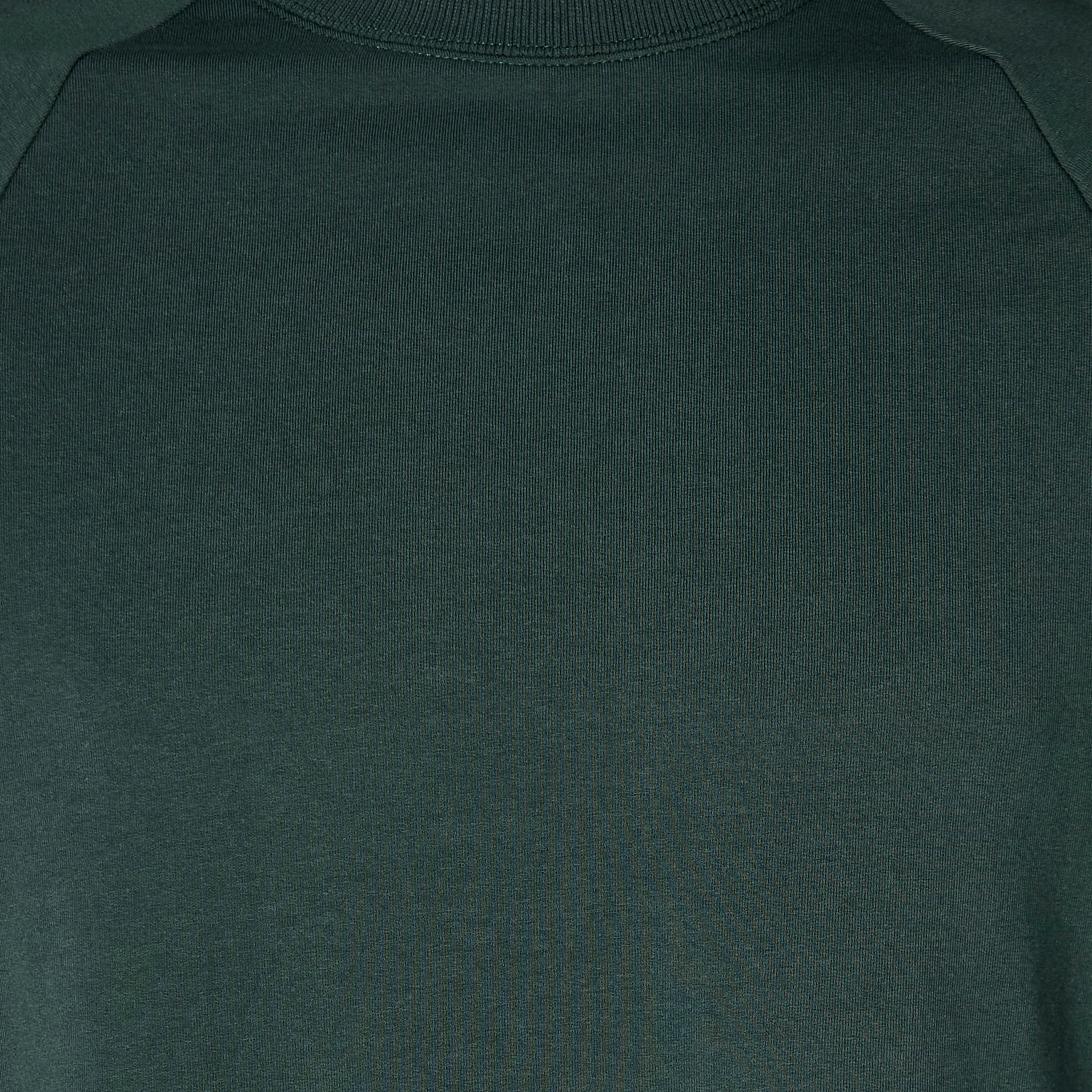 Love Pangolin Men Raglan Sleeves Oversized T-shirt-men-clothing-sportswearandactivewear-tshirtsandpolos-image-2