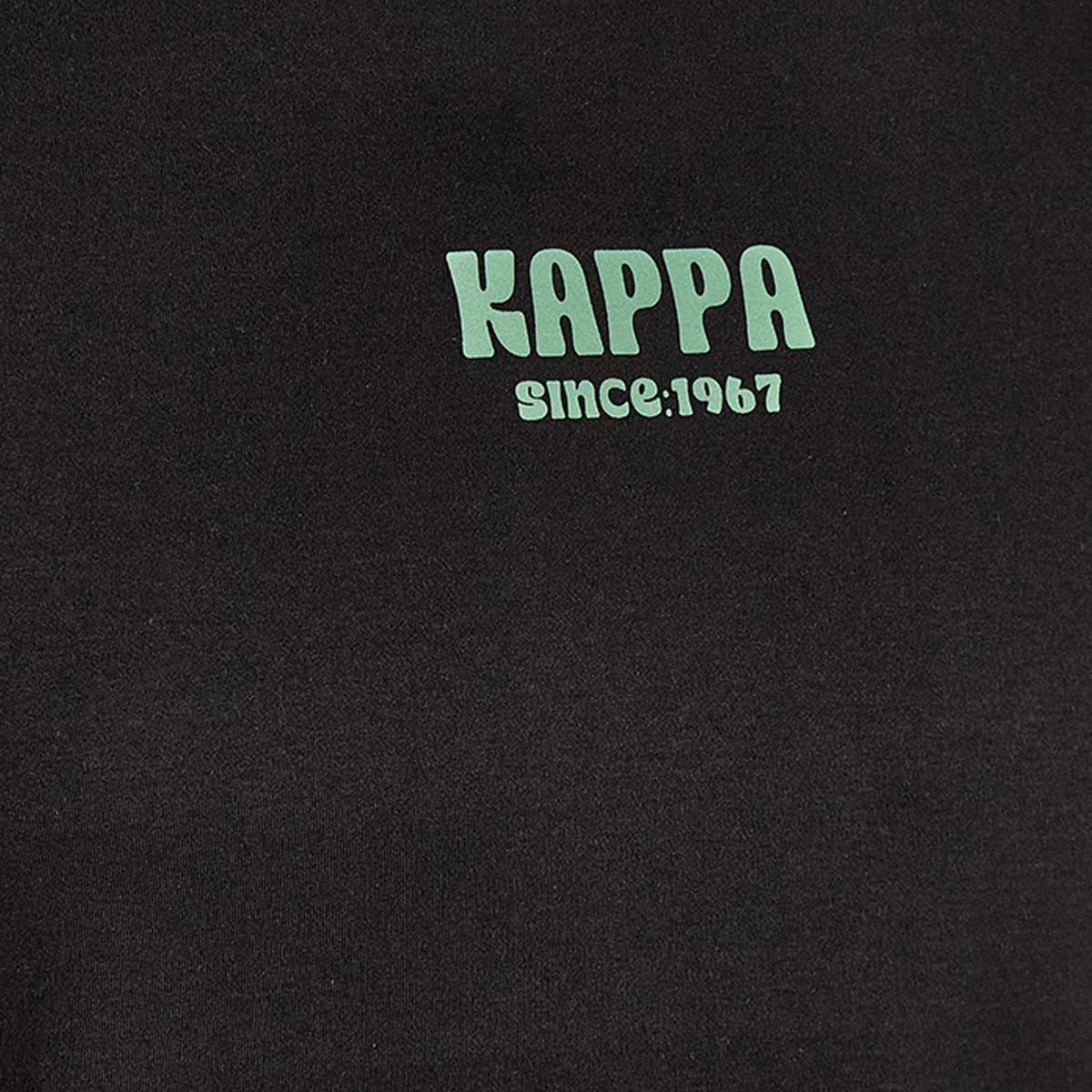Kappa Men Logo Print T-shirt-men-clothing-sportswearandactivewear-tshirtsandpolos-image-2