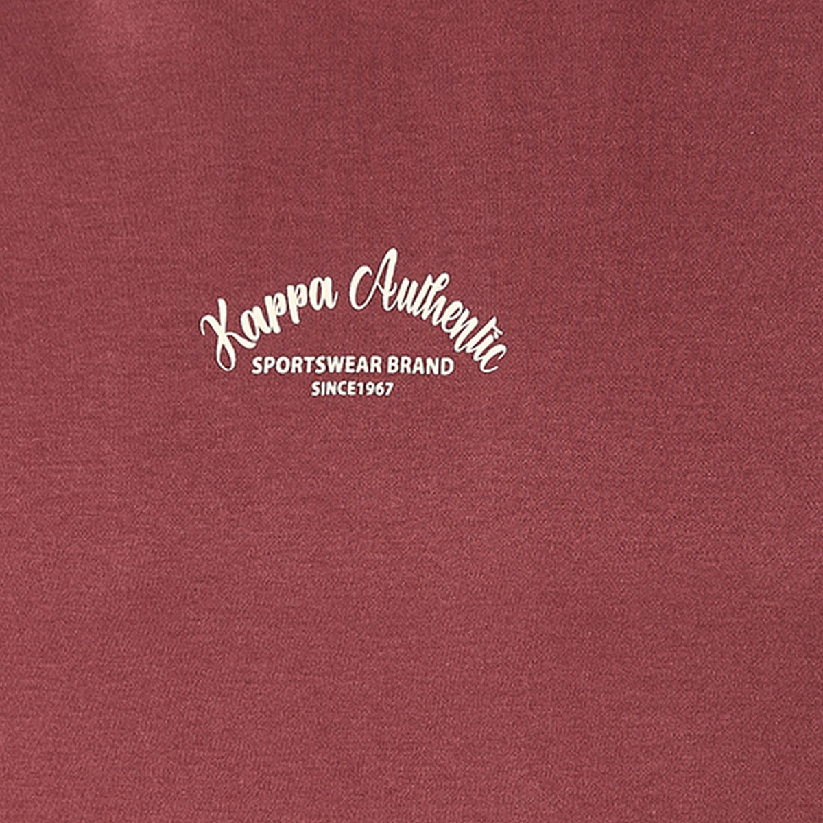 Kappa Logo Print T-shirt-men-clothing-sportswearandactivewear-tshirtsandpolos-image-2